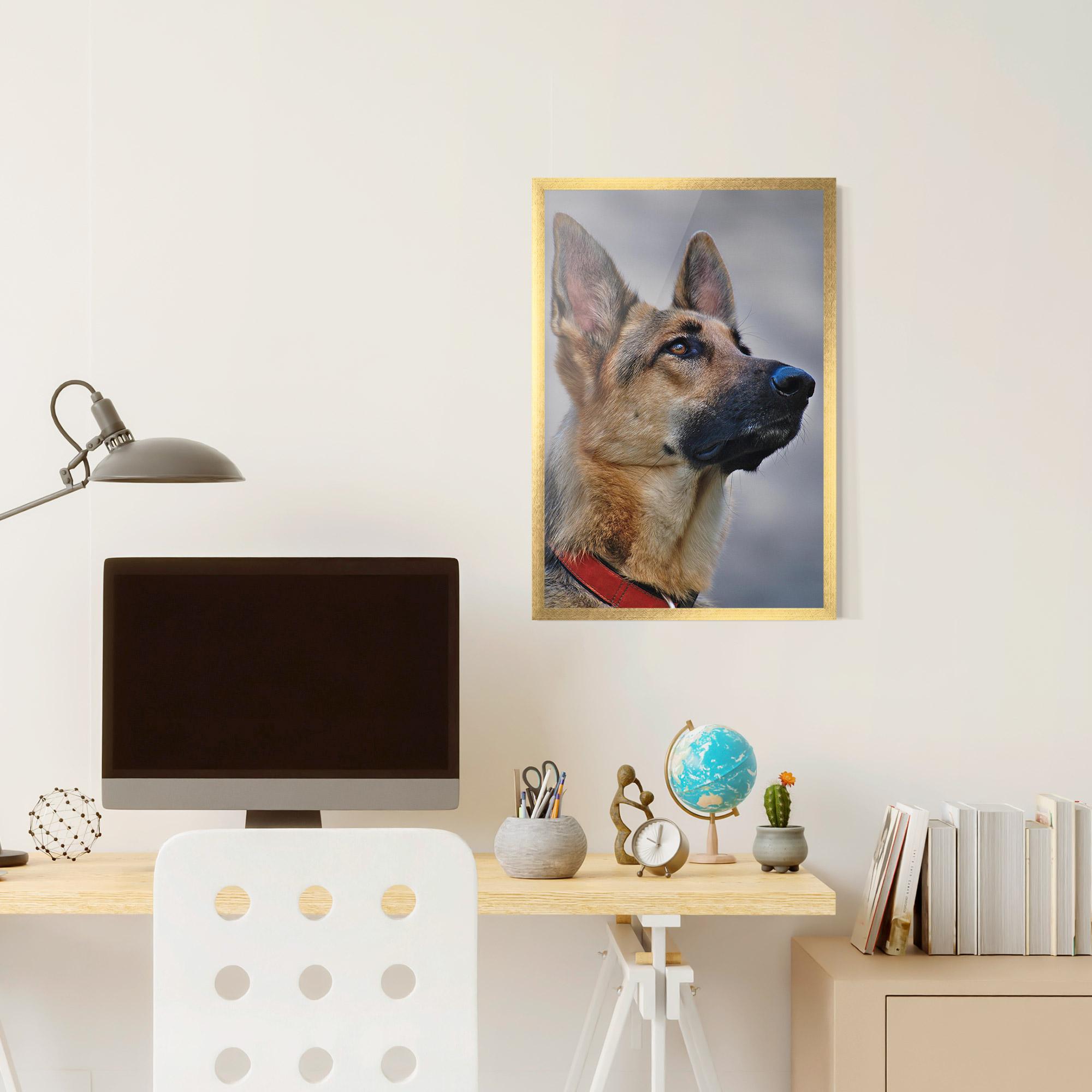 Gerahmte Poster German Shepherd mockup 6