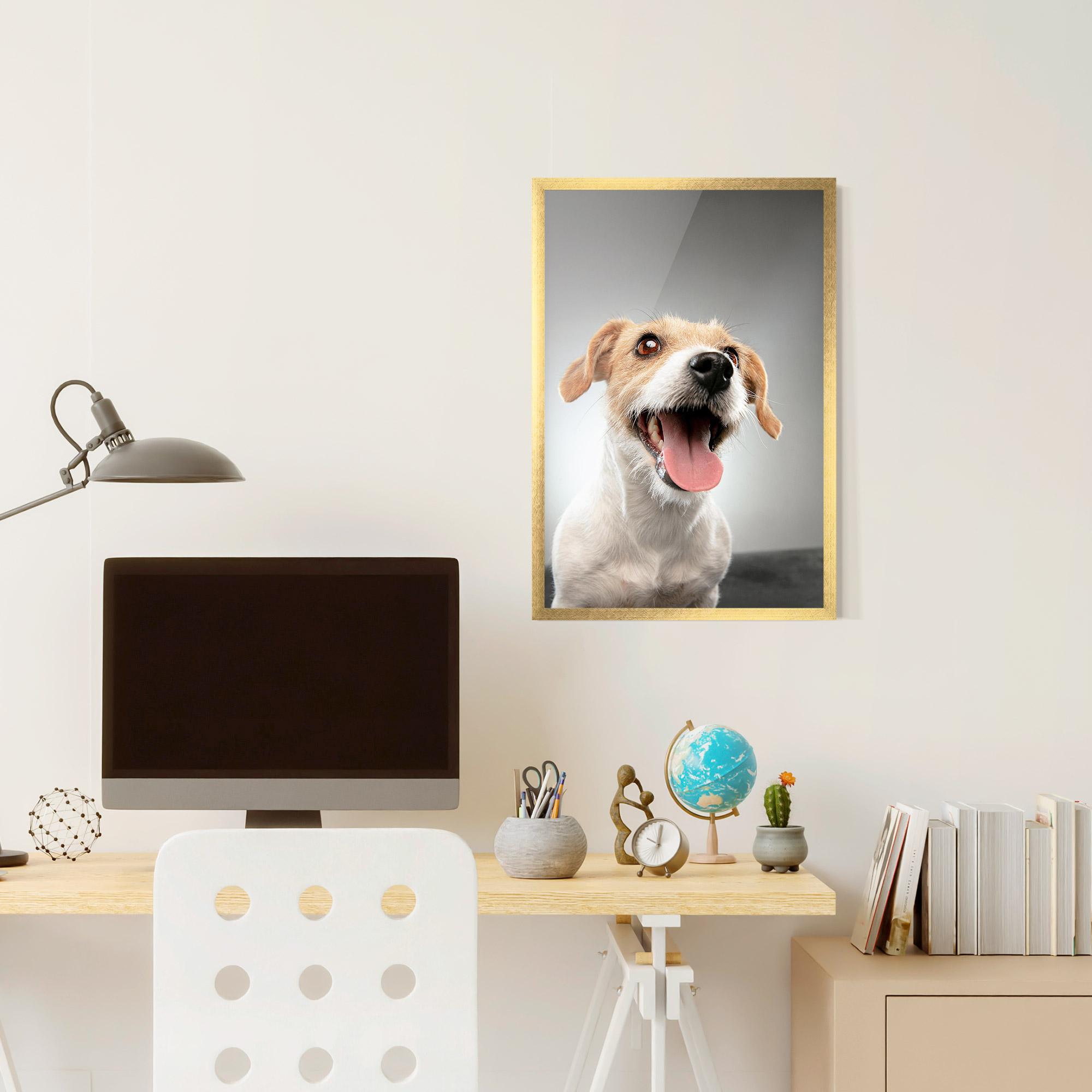 Gerahmte Poster Jack Russell Terrier mockup 6