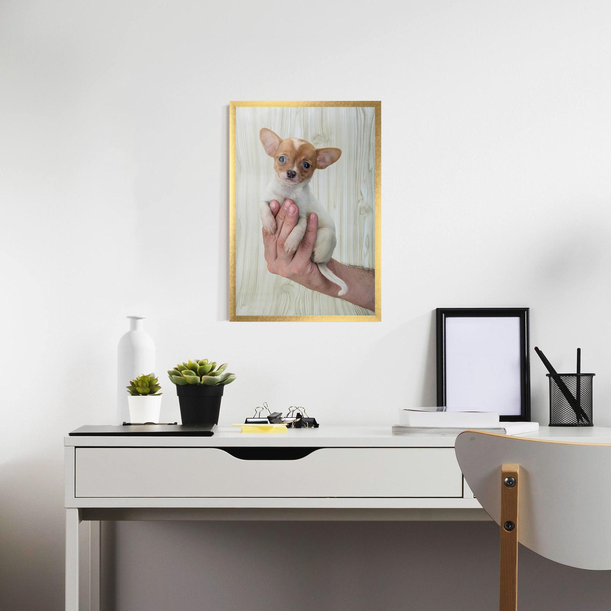 Gerahmte Poster Holding Chihuahua mockup 7