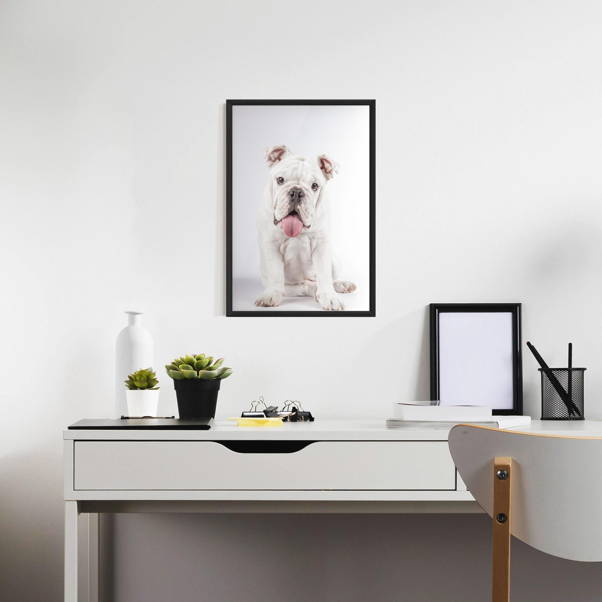Gerahmte Poster English Bulldog mockup 7