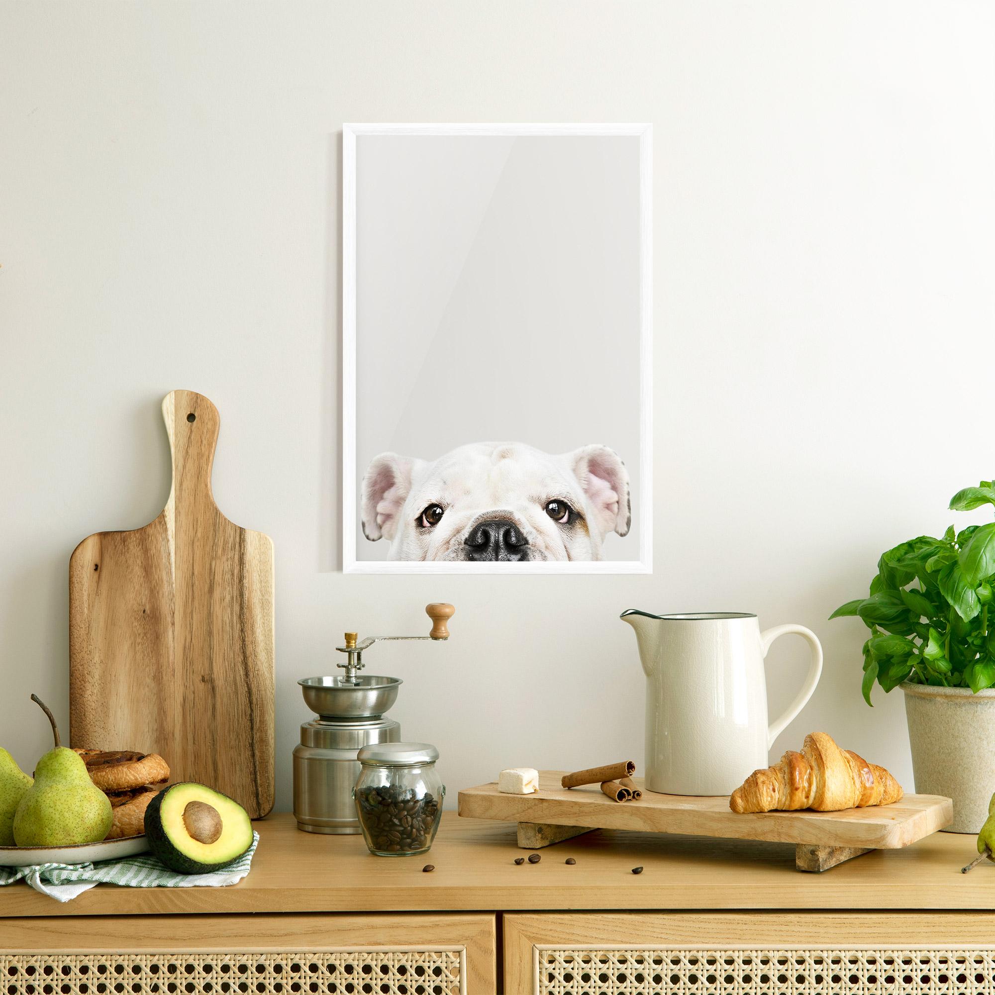 Gerahmte Poster Bulldog Eyes mockup 8