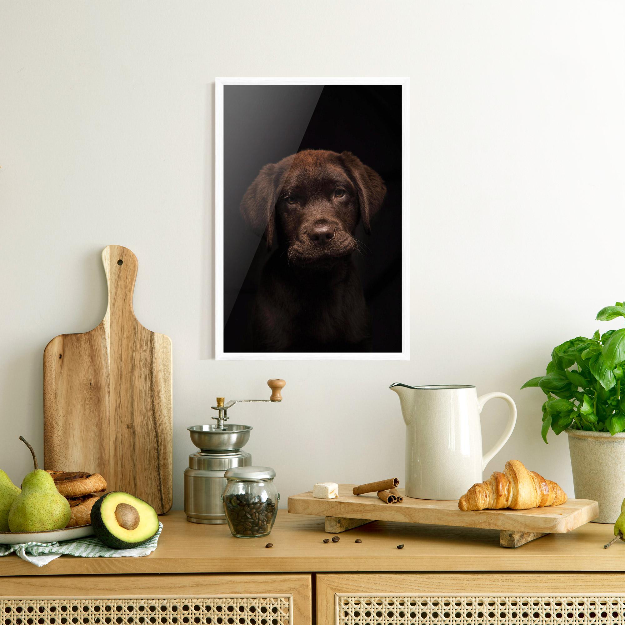 Gerahmte Poster Chocolate Labrador mockup 8