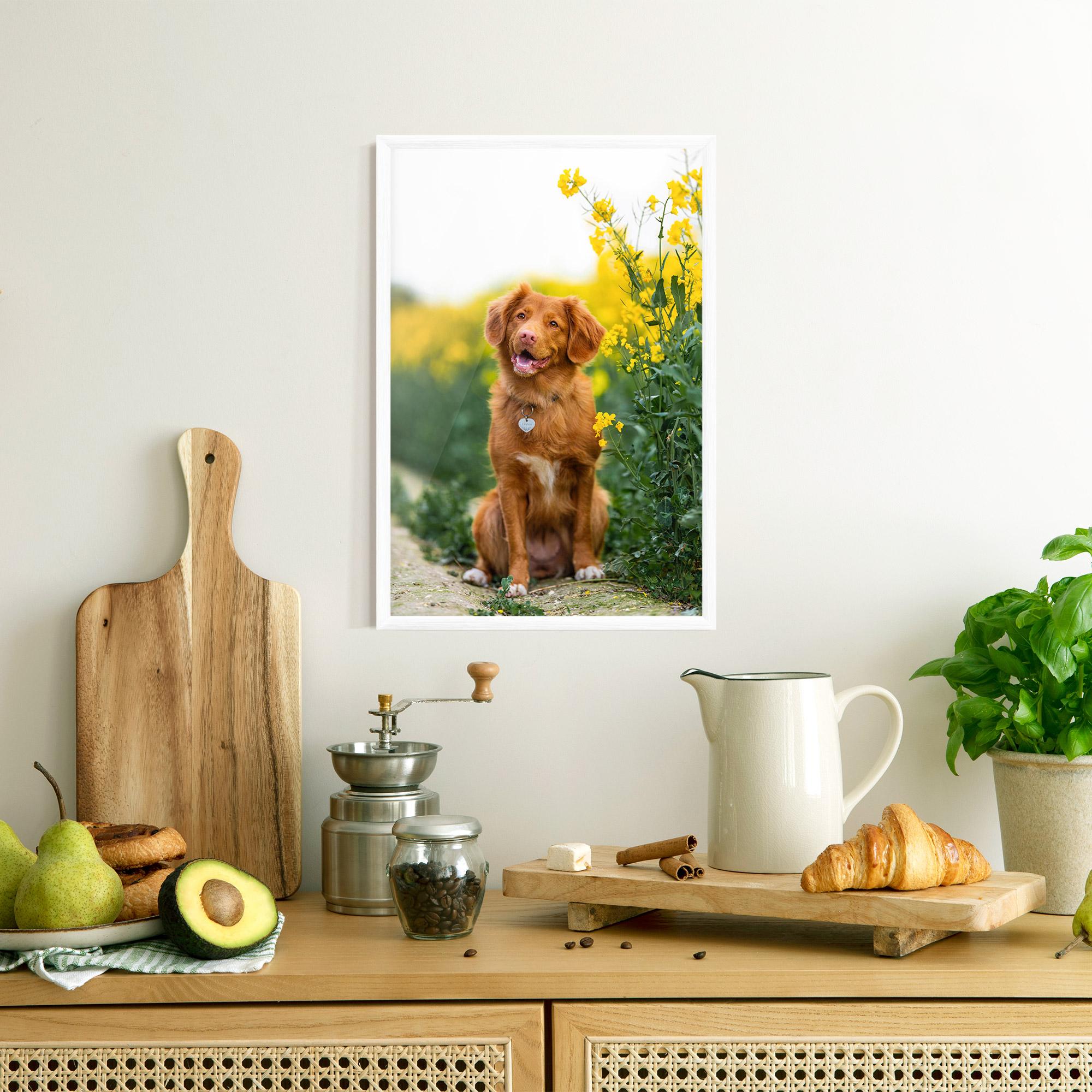 Gerahmte Poster Dog Yellow Flowers mockup 8