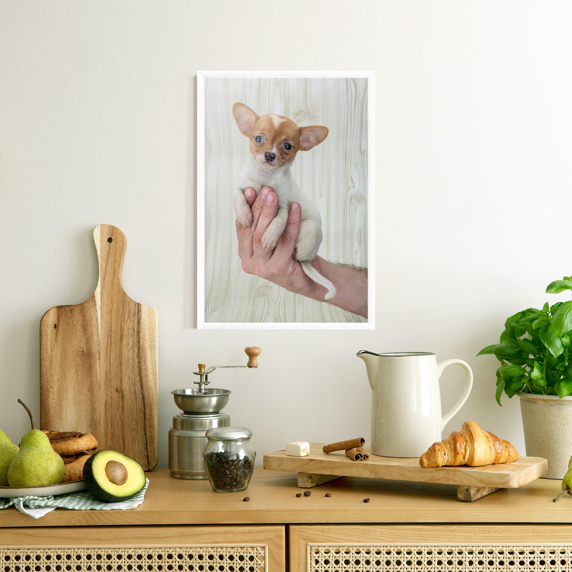 Gerahmte Poster Holding Chihuahua mockup 8