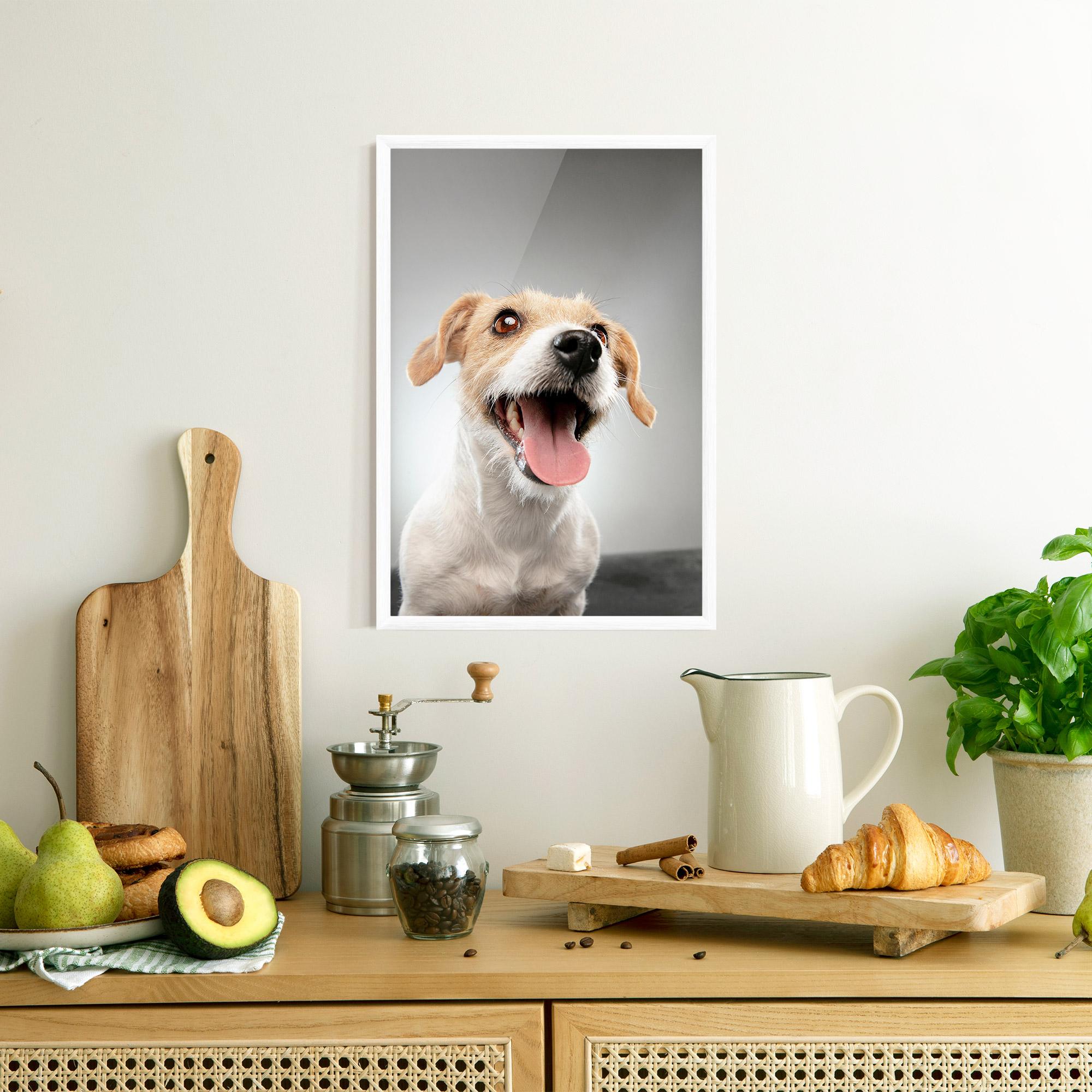 Gerahmte Poster Jack Russell Terrier mockup 8