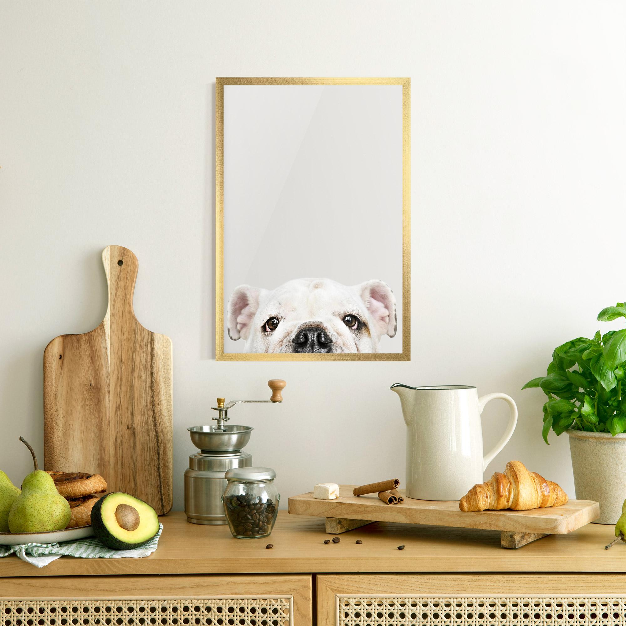 Gerahmte Poster Bulldog Eyes mockup 8
