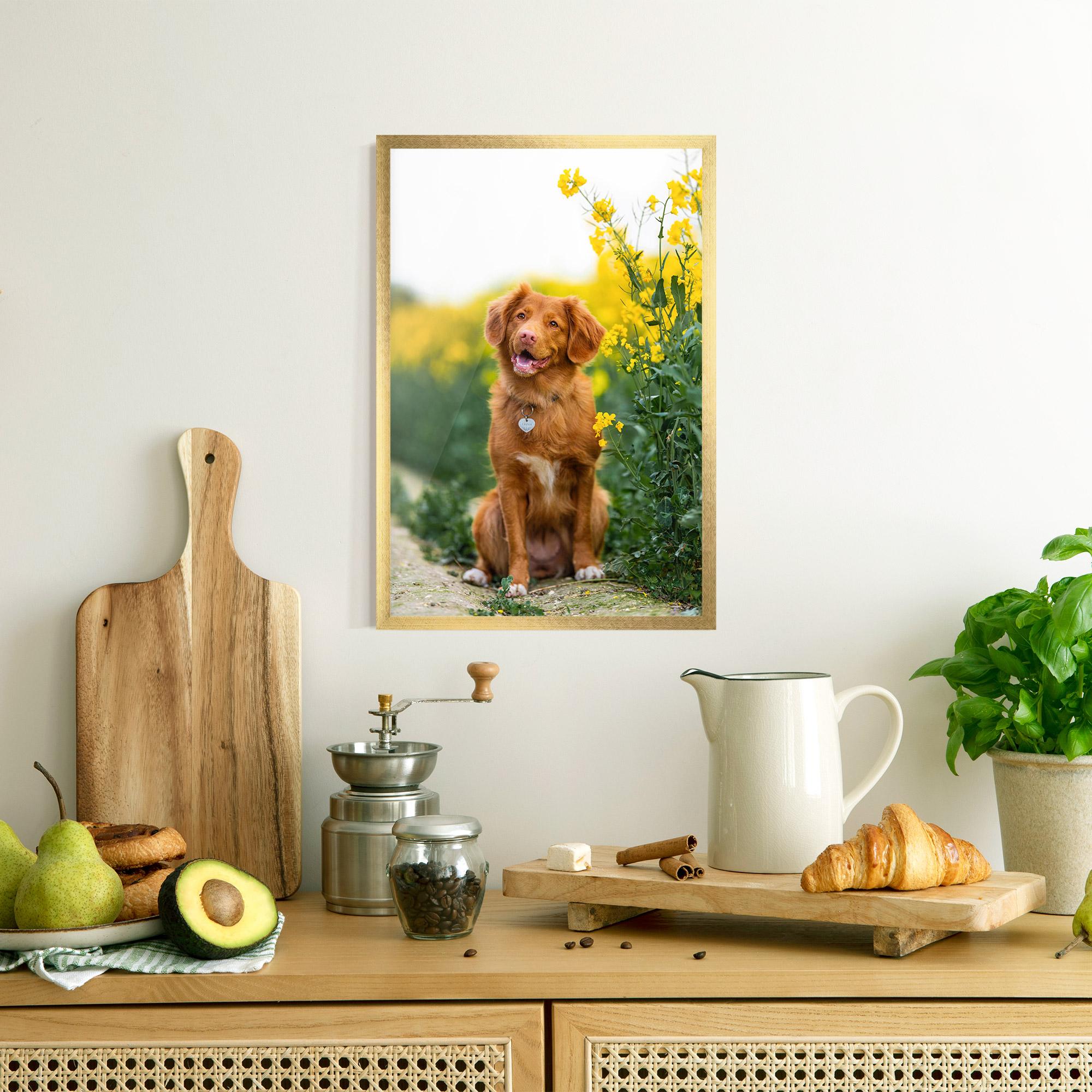 Gerahmte Poster Dog Yellow Flowers mockup 8