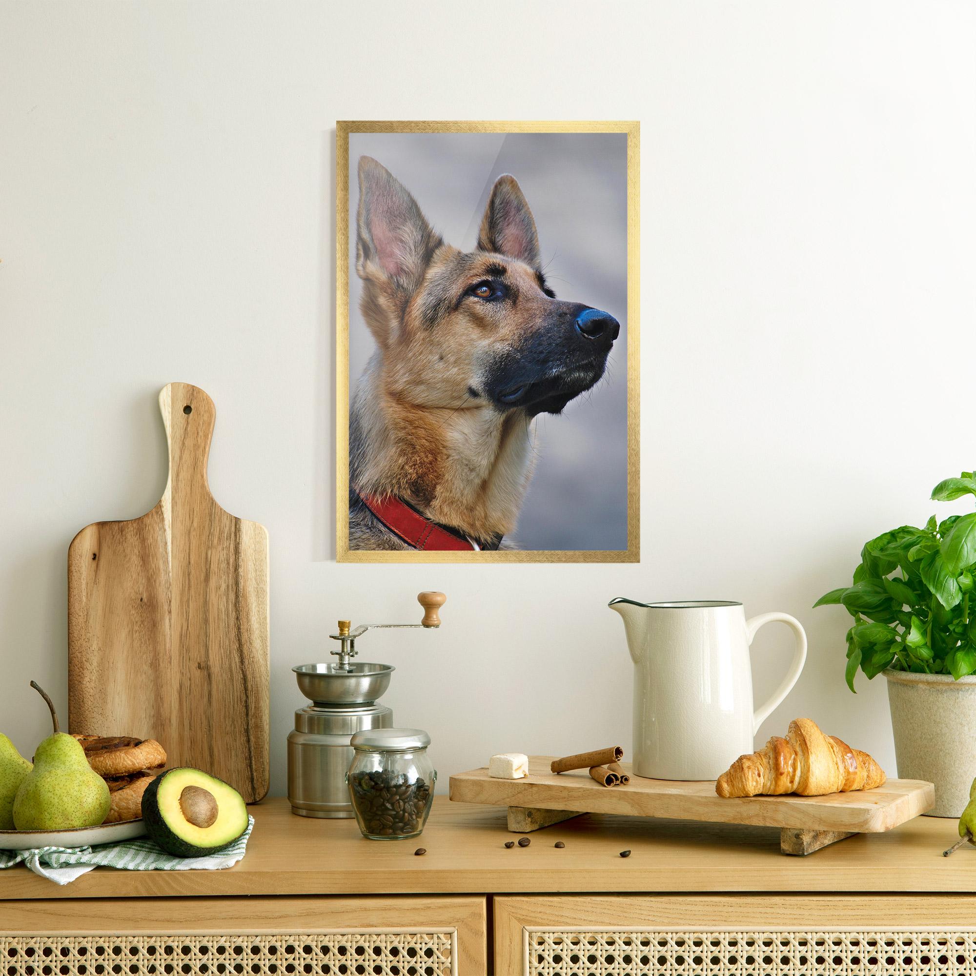Gerahmte Poster German Shepherd mockup 8