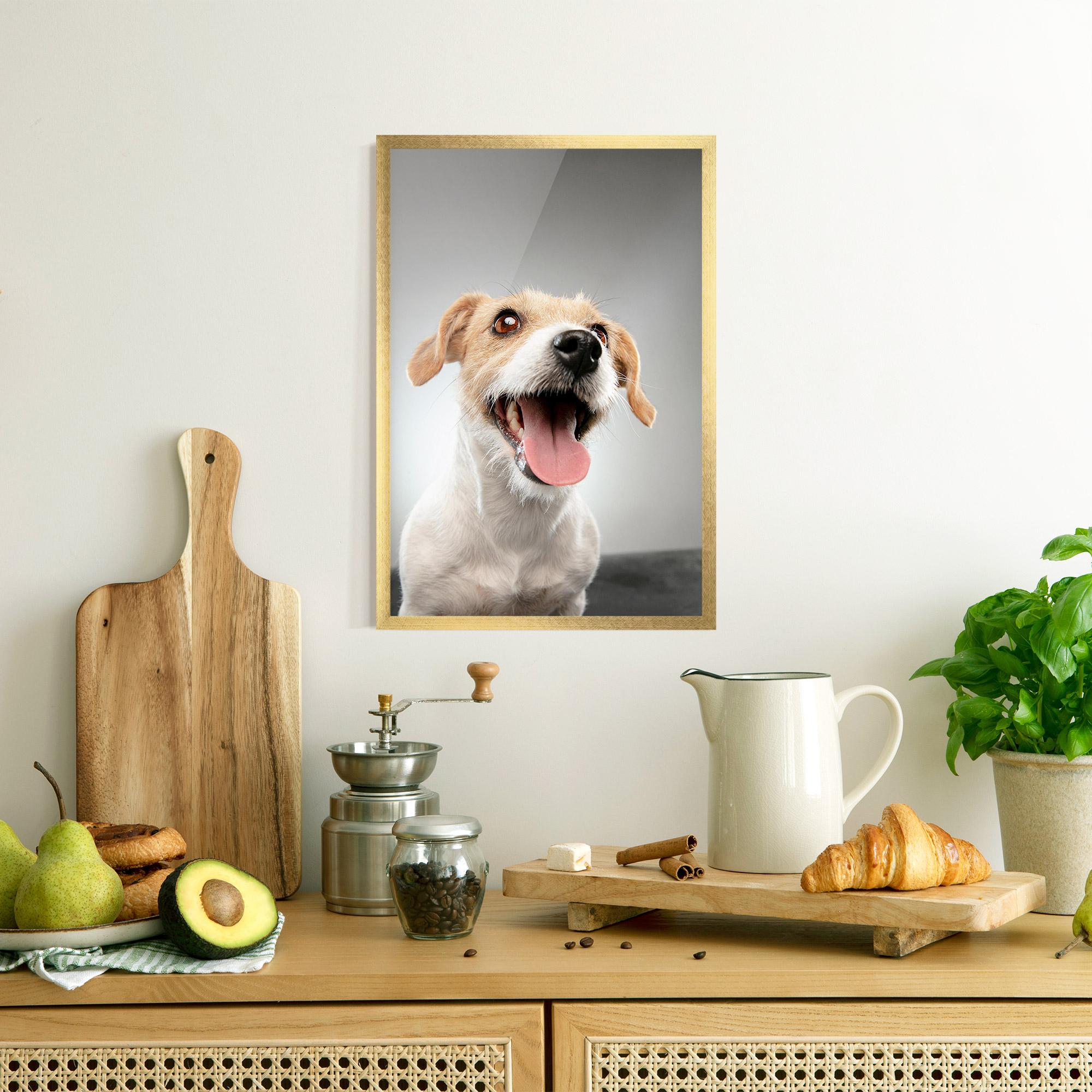 Gerahmte Poster Jack Russell Terrier mockup 8