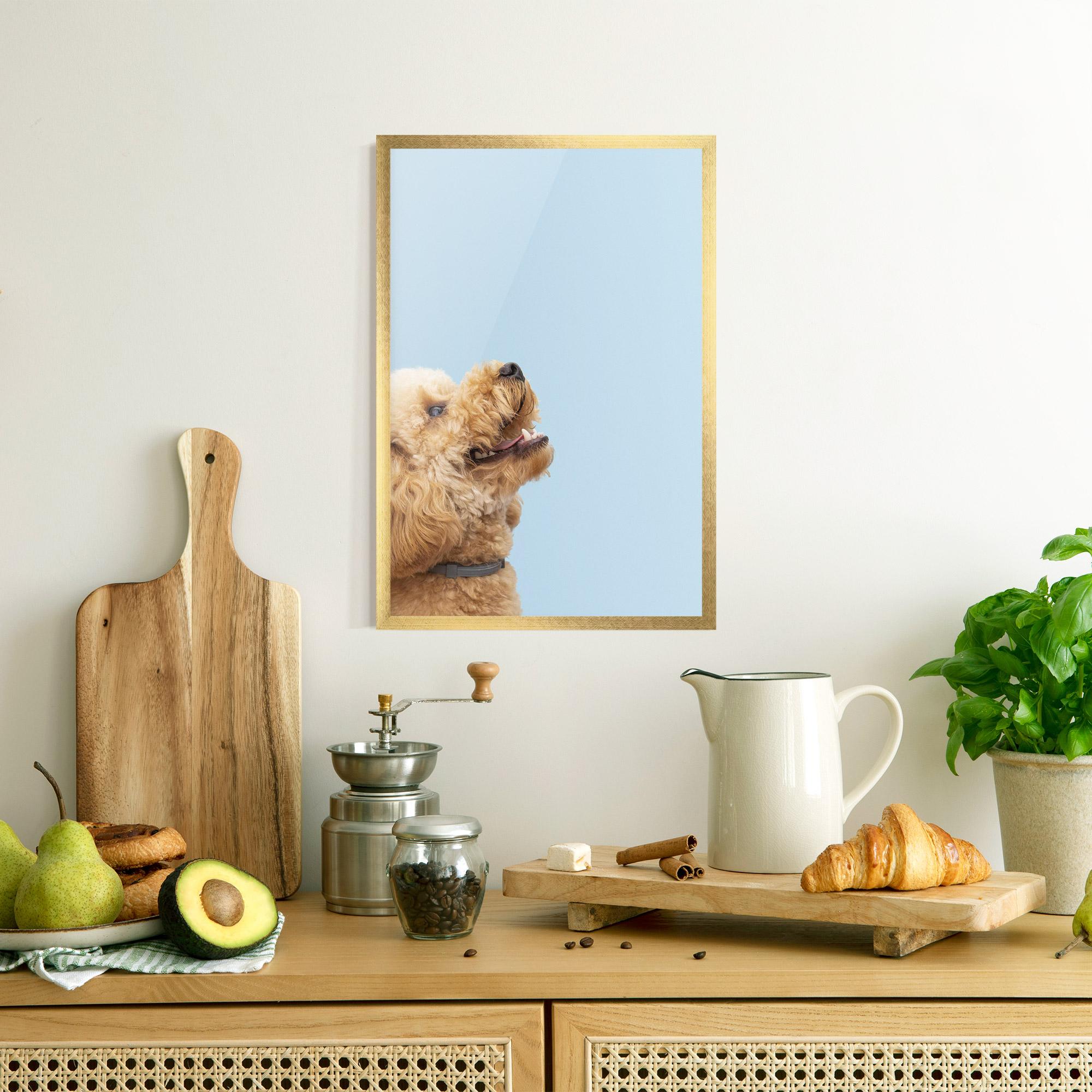 Gerahmte Poster Yellow Cute Dog mockup 8