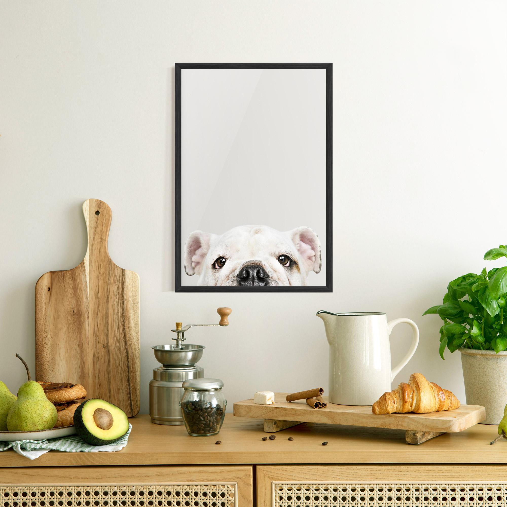 Gerahmte Poster Bulldog Eyes mockup 8