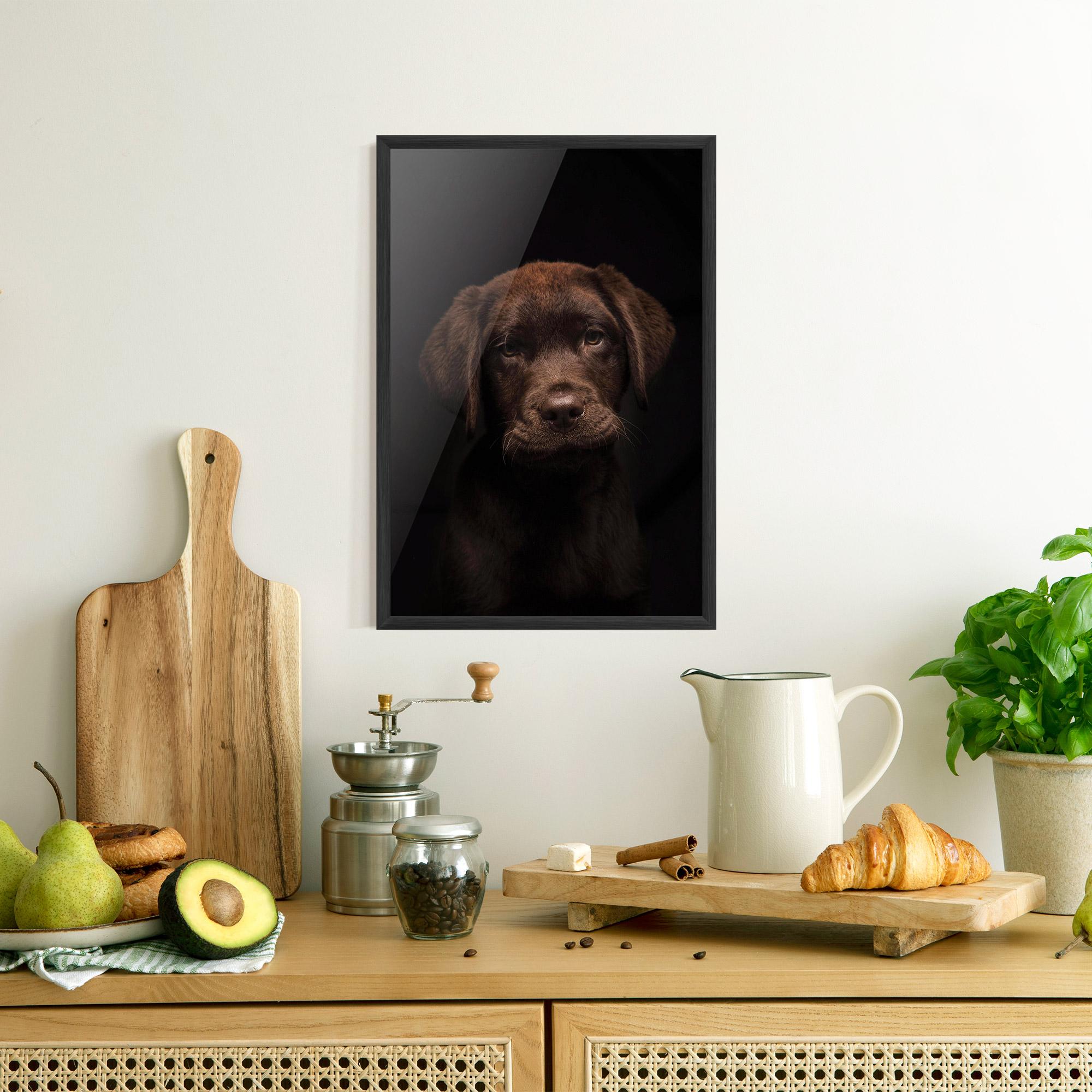 Gerahmte Poster Chocolate Labrador mockup 8