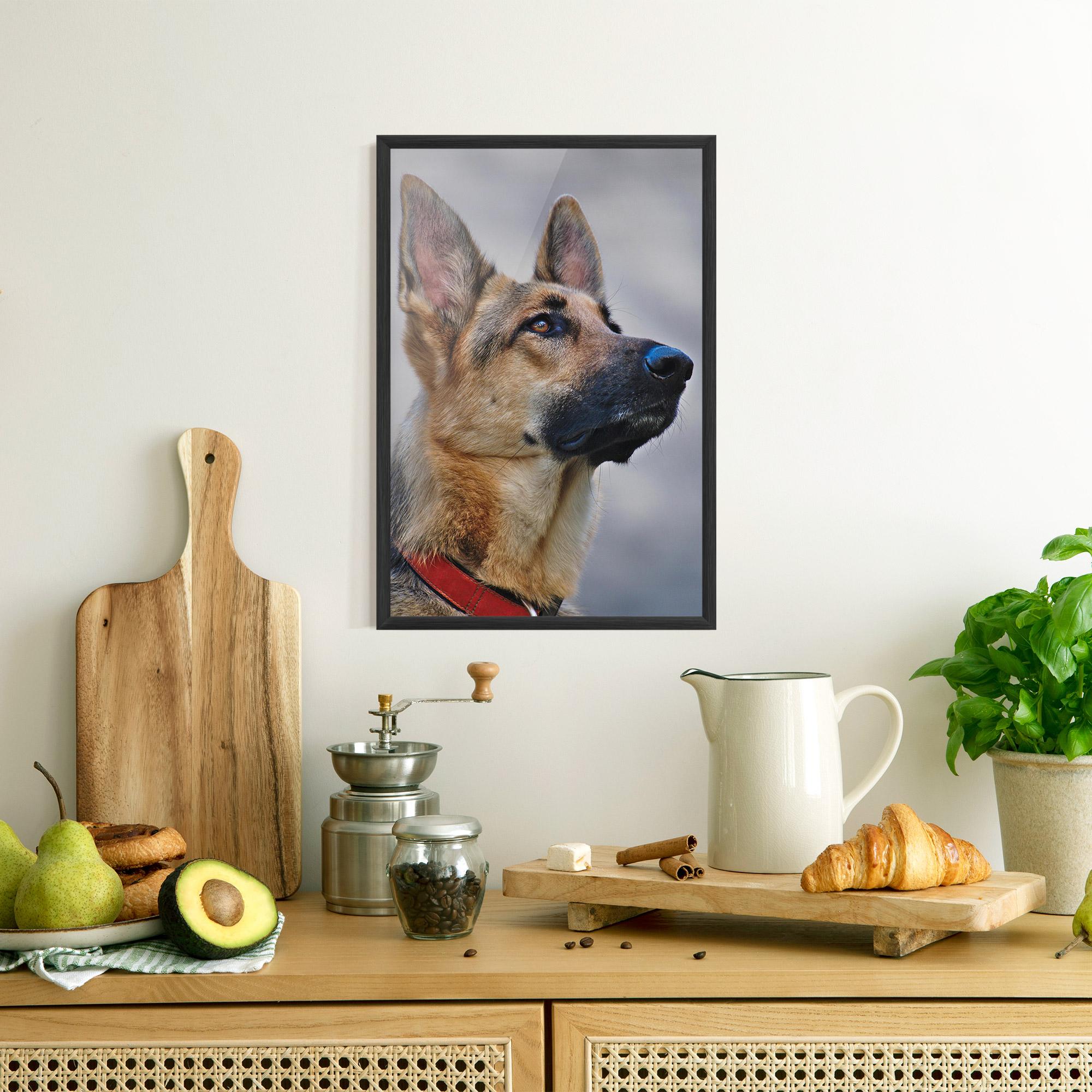 Gerahmte Poster German Shepherd mockup 8