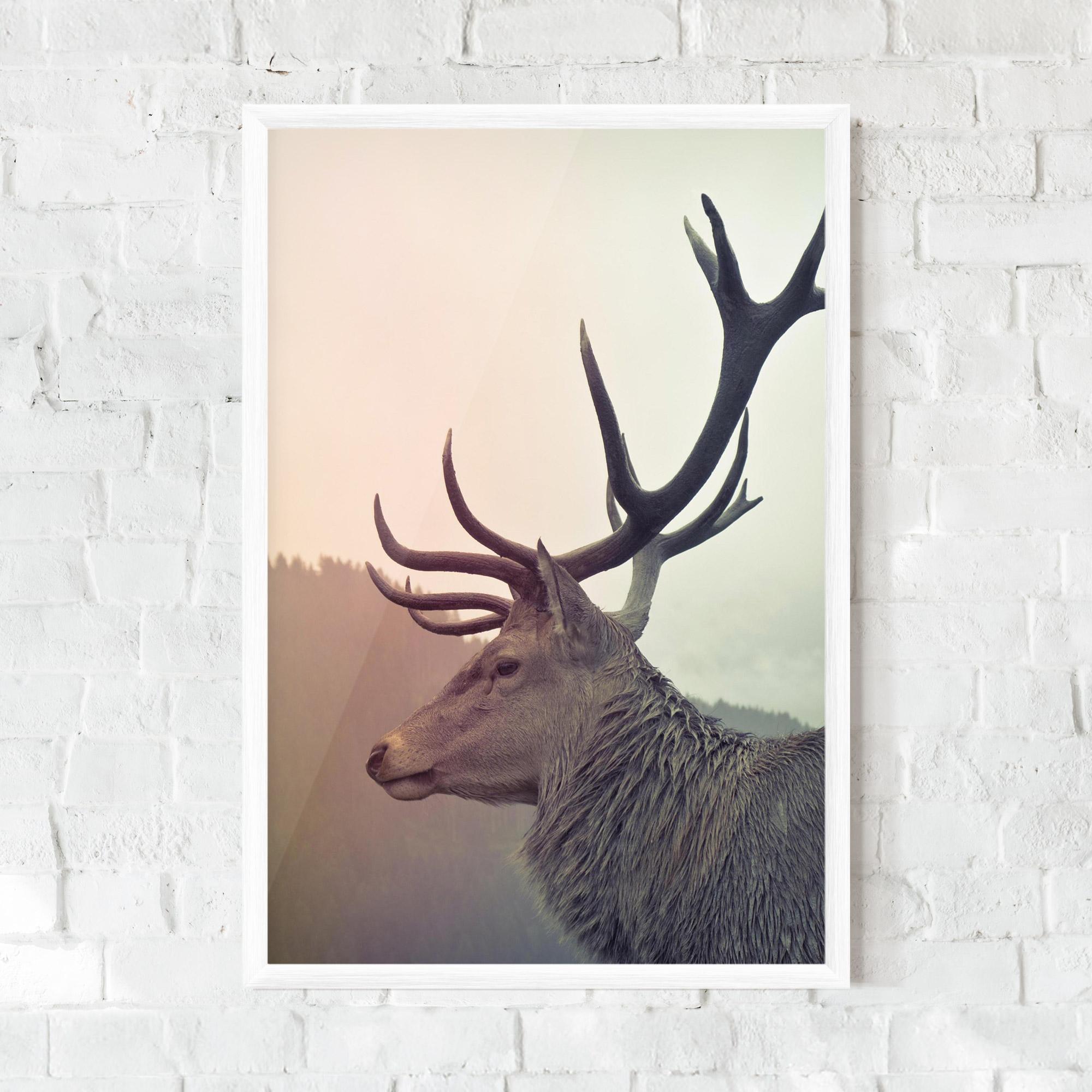 Gerahmte Poster King Of The Forest mockup 0