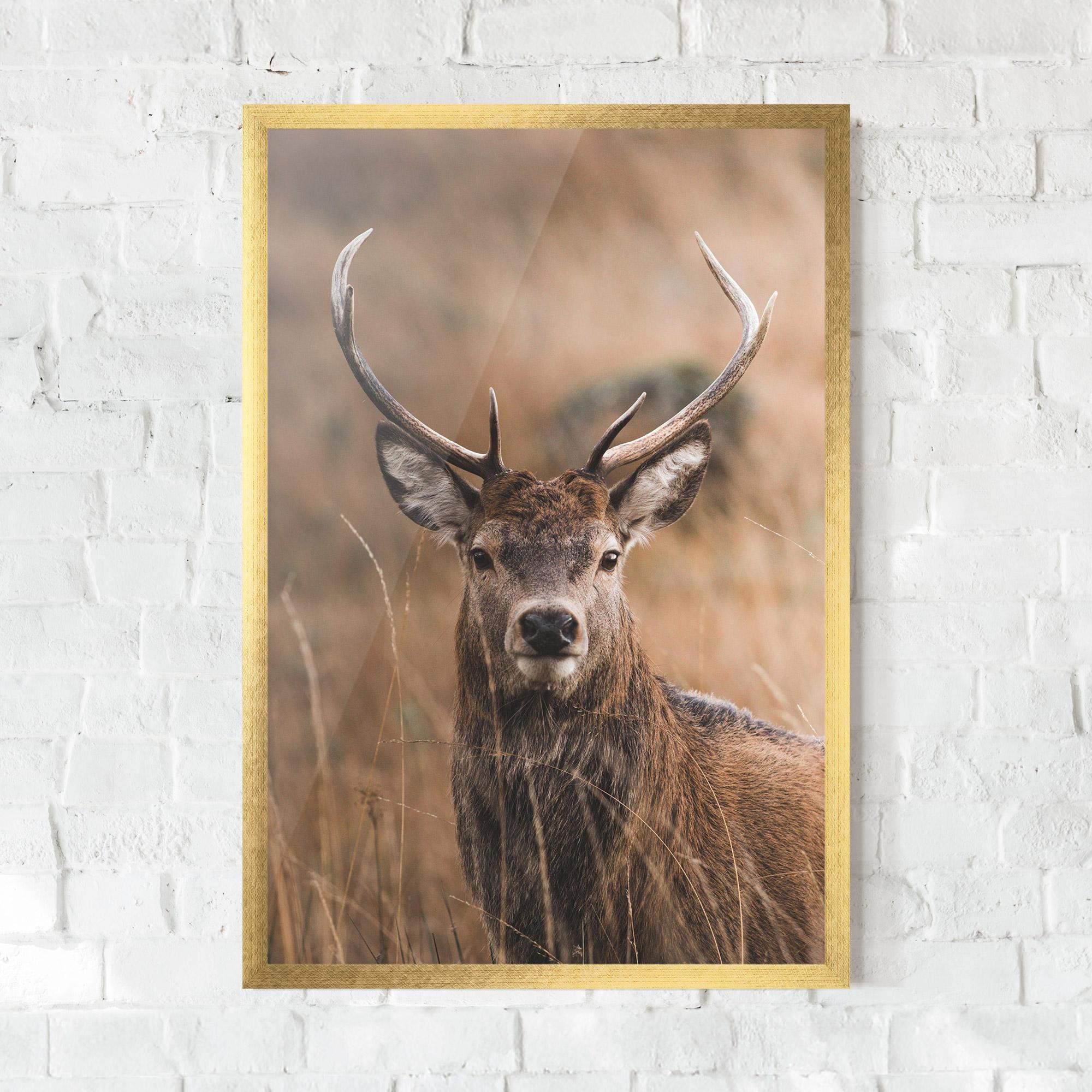 Gerahmte Poster Majestic Deer mockup 0