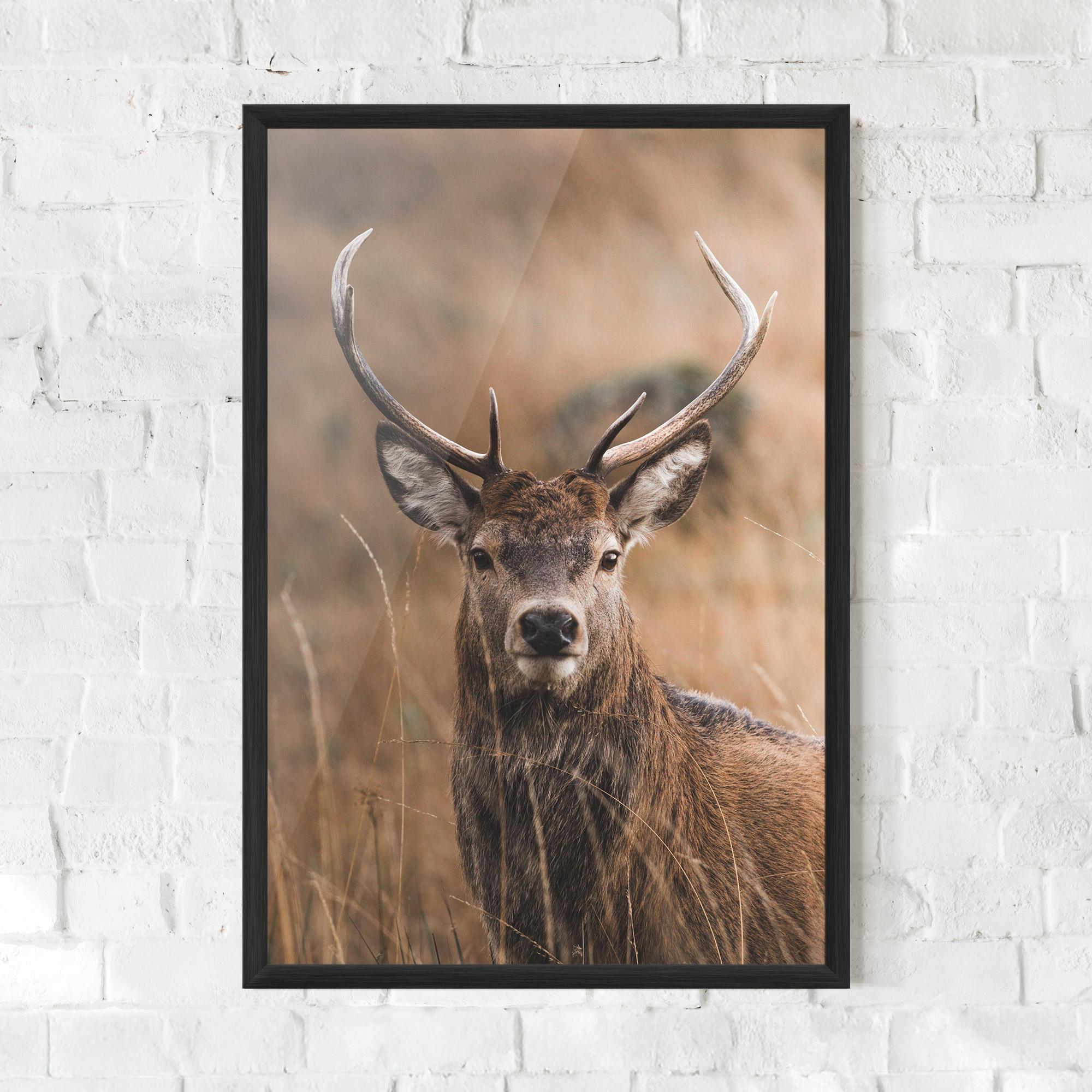 Gerahmte Poster Majestic Deer mockup 0