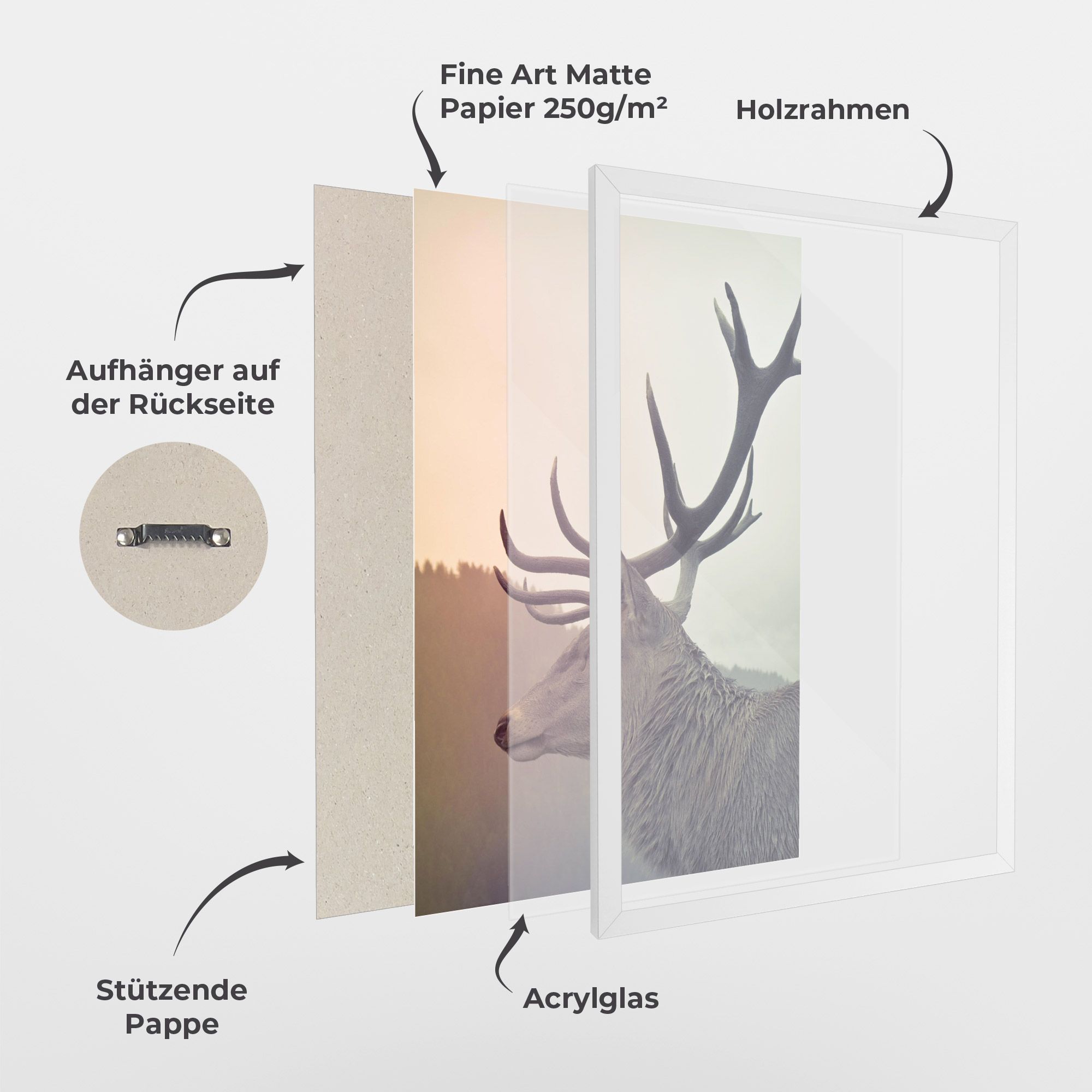 King Of The Forest mockup 1