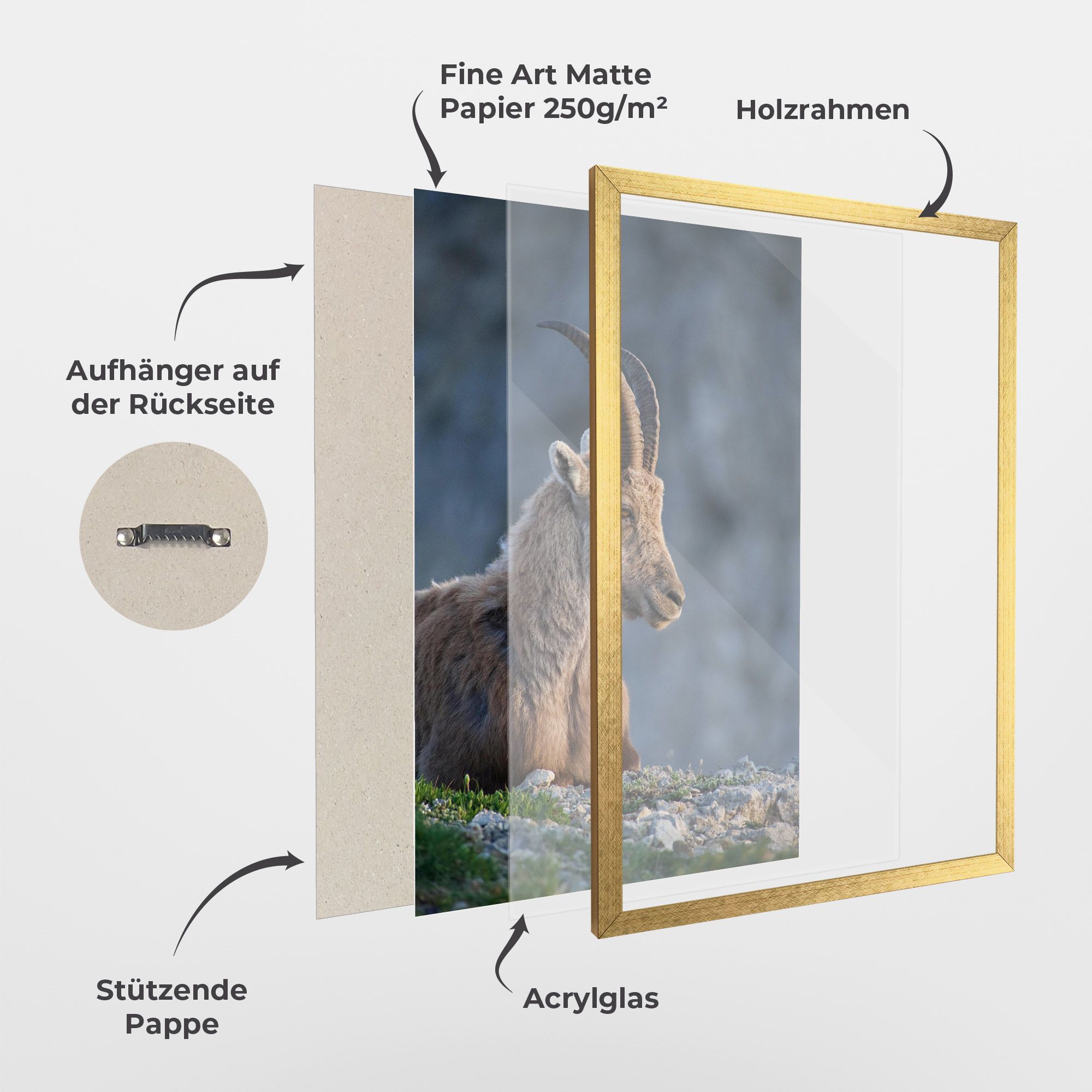 Mountain Goat mockup 1