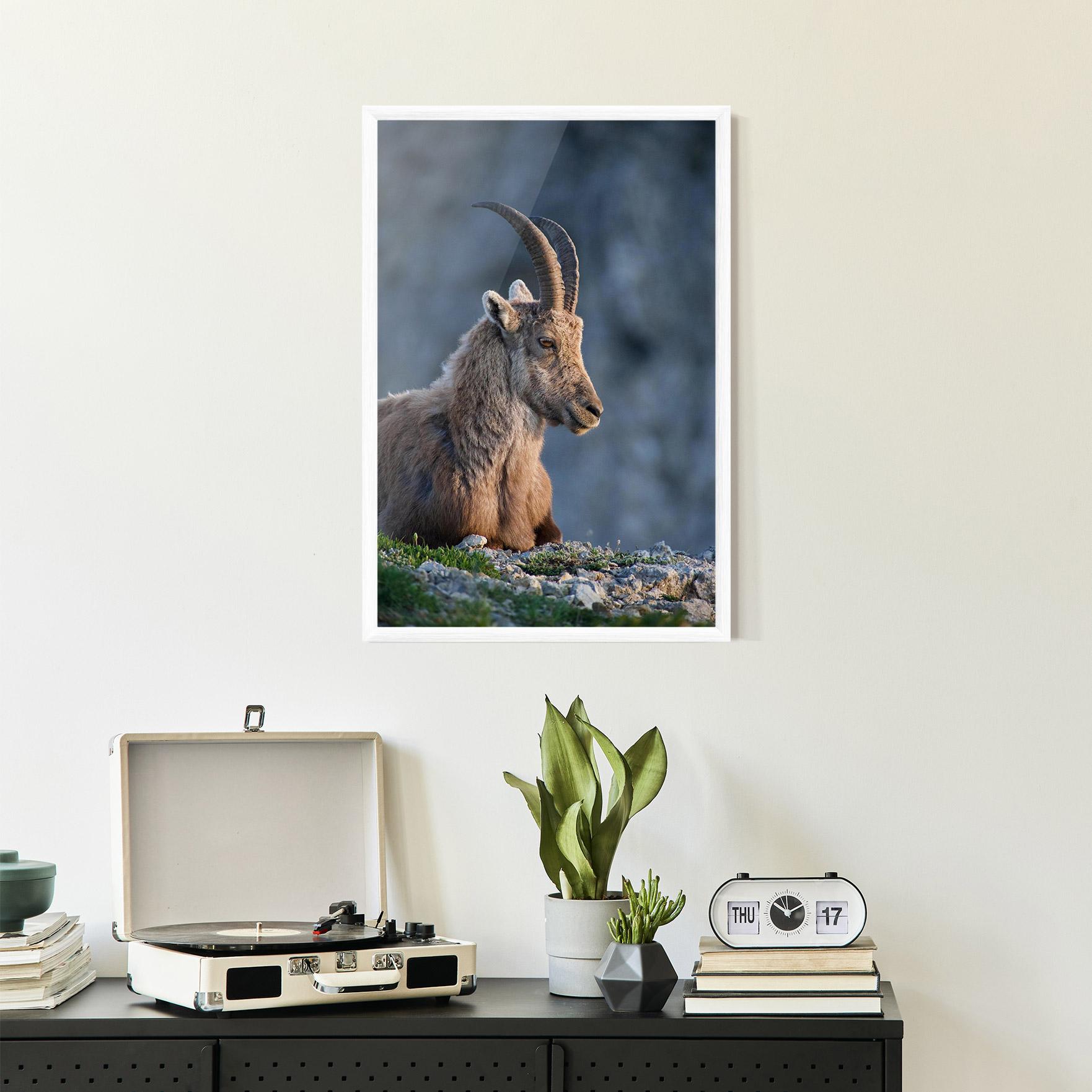 Gerahmte Poster Mountain Goat mockup 2