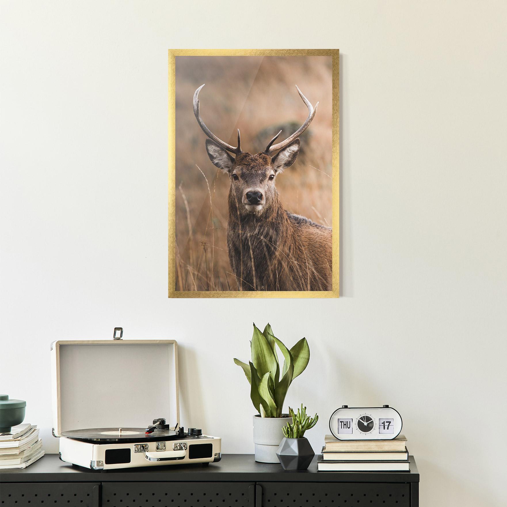 Gerahmte Poster Majestic Deer mockup 2