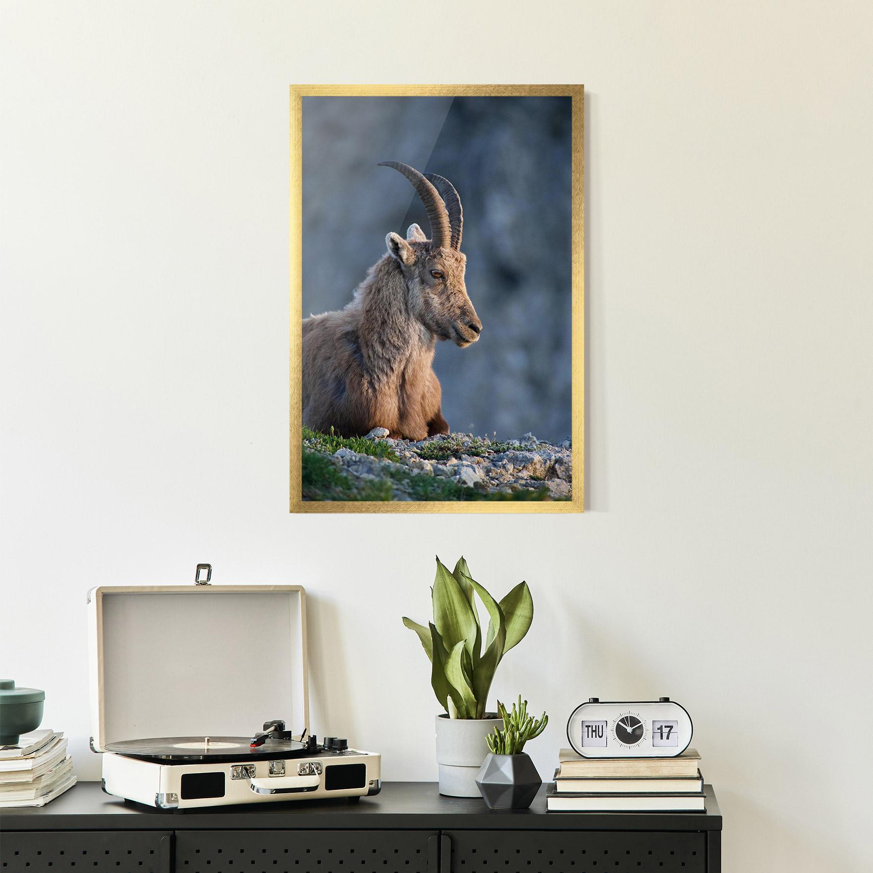 Gerahmte Poster Mountain Goat mockup 2