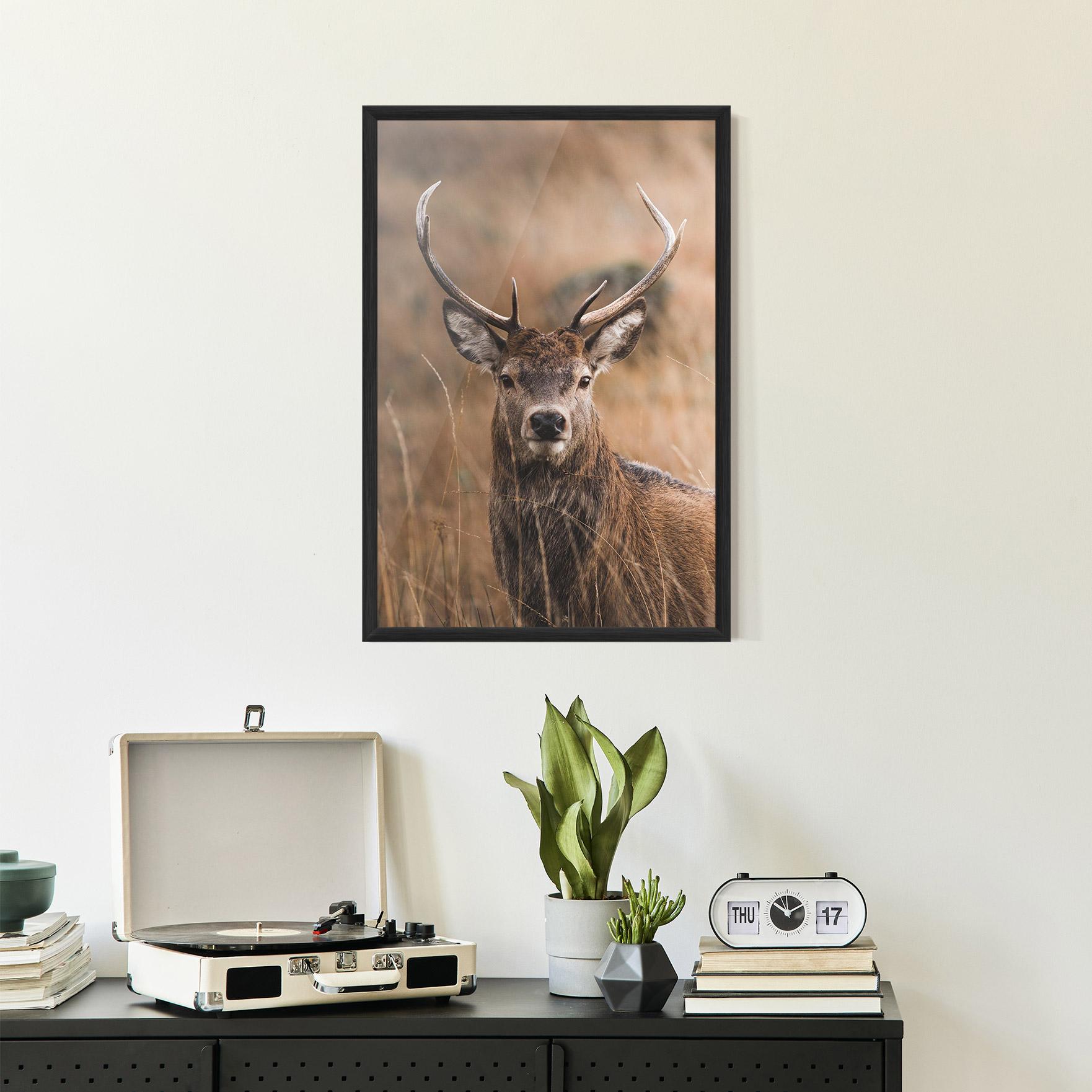 Gerahmte Poster Majestic Deer mockup 2