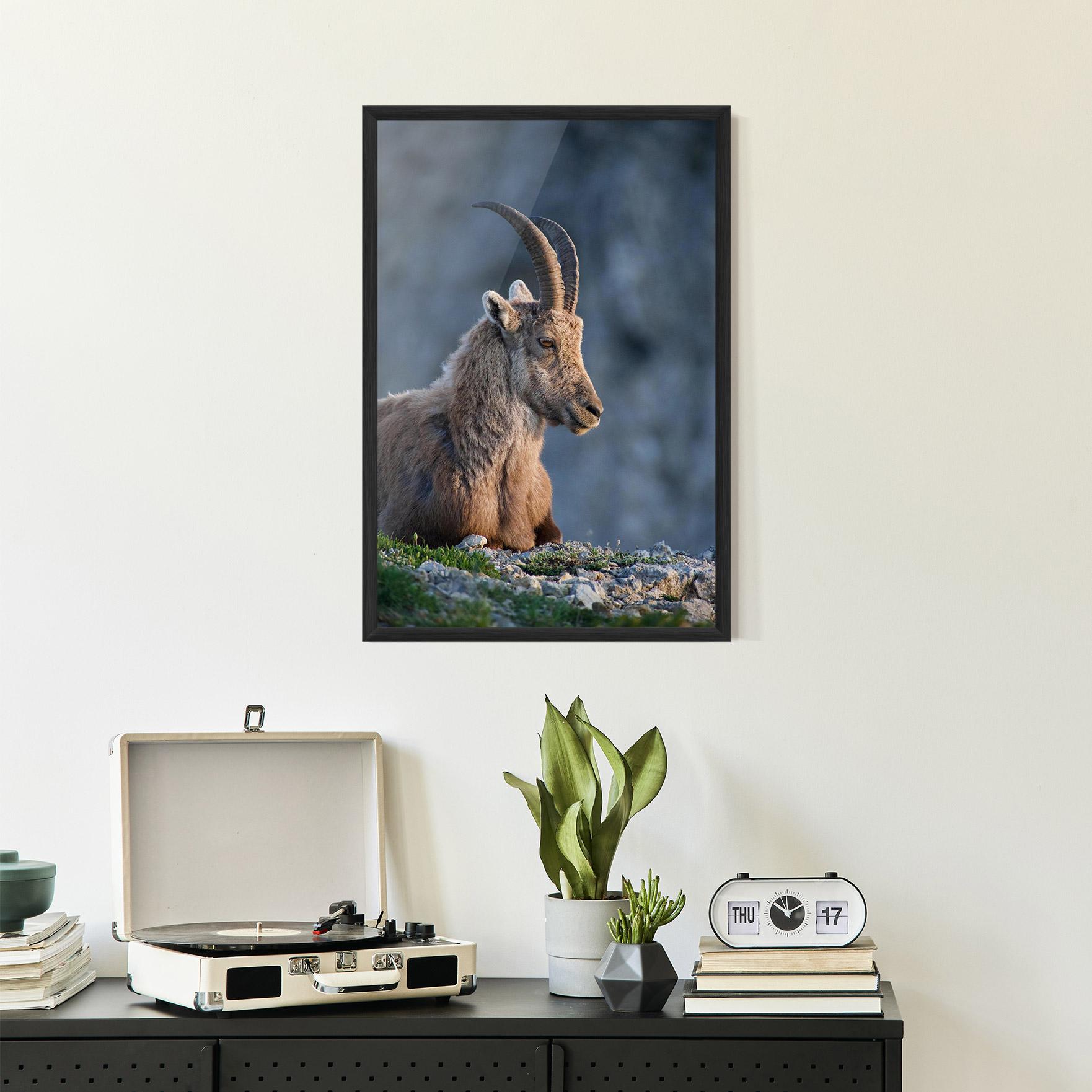 Gerahmte Poster Mountain Goat mockup 2
