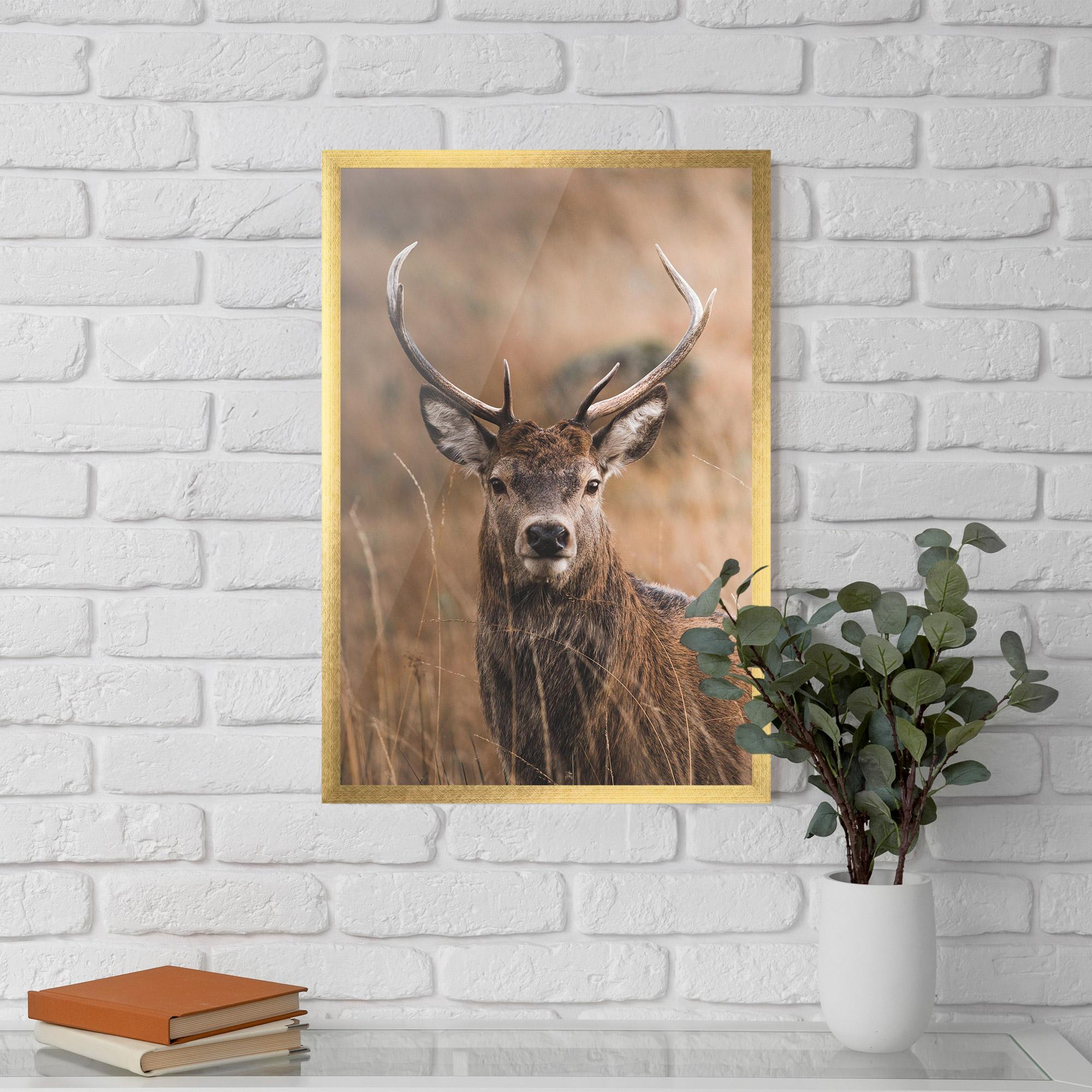 Gerahmte Poster Majestic Deer mockup 5