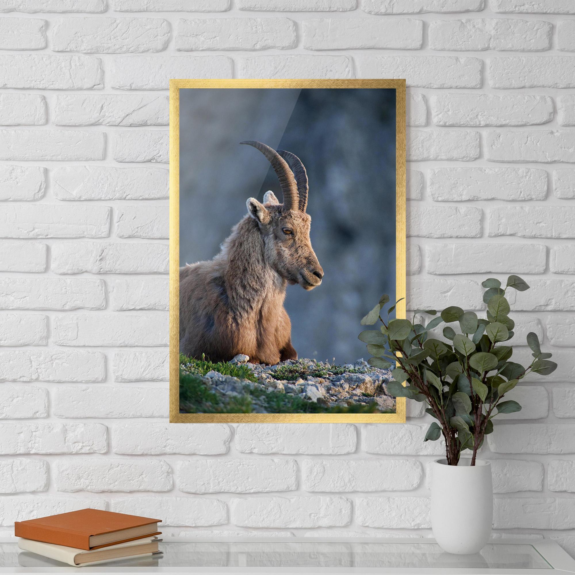 Gerahmte Poster Mountain Goat mockup 5