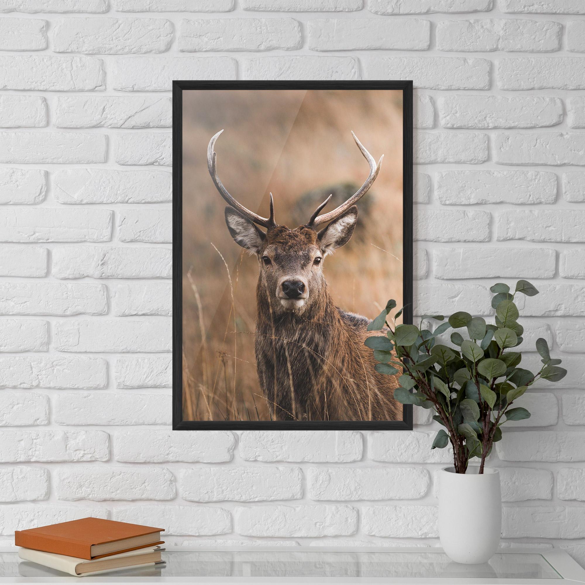 Gerahmte Poster Majestic Deer mockup 5