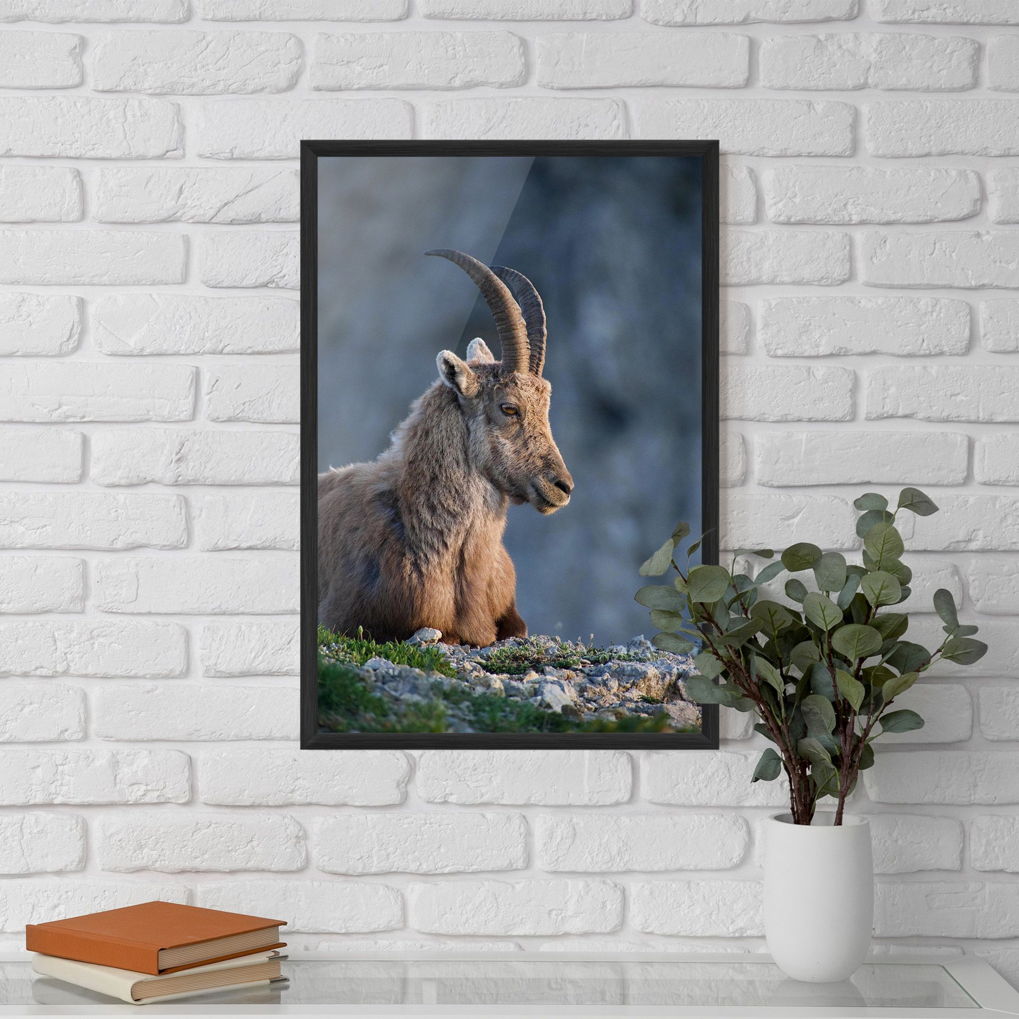 Mountain Goat mockup 5
