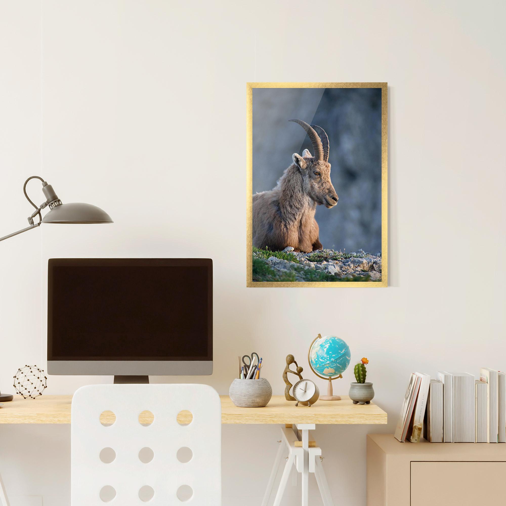 Gerahmte Poster Mountain Goat mockup 6