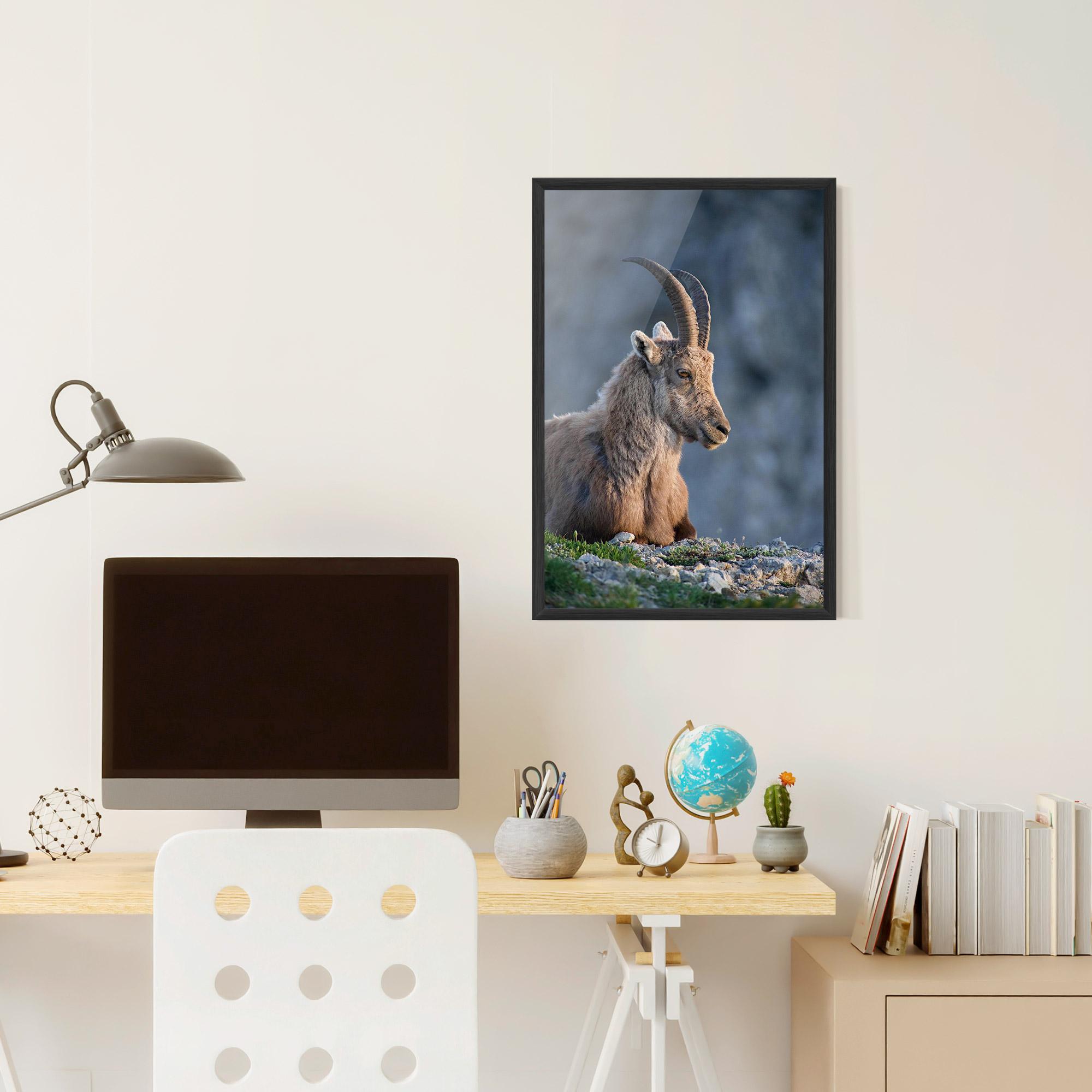 Gerahmte Poster Mountain Goat mockup 6