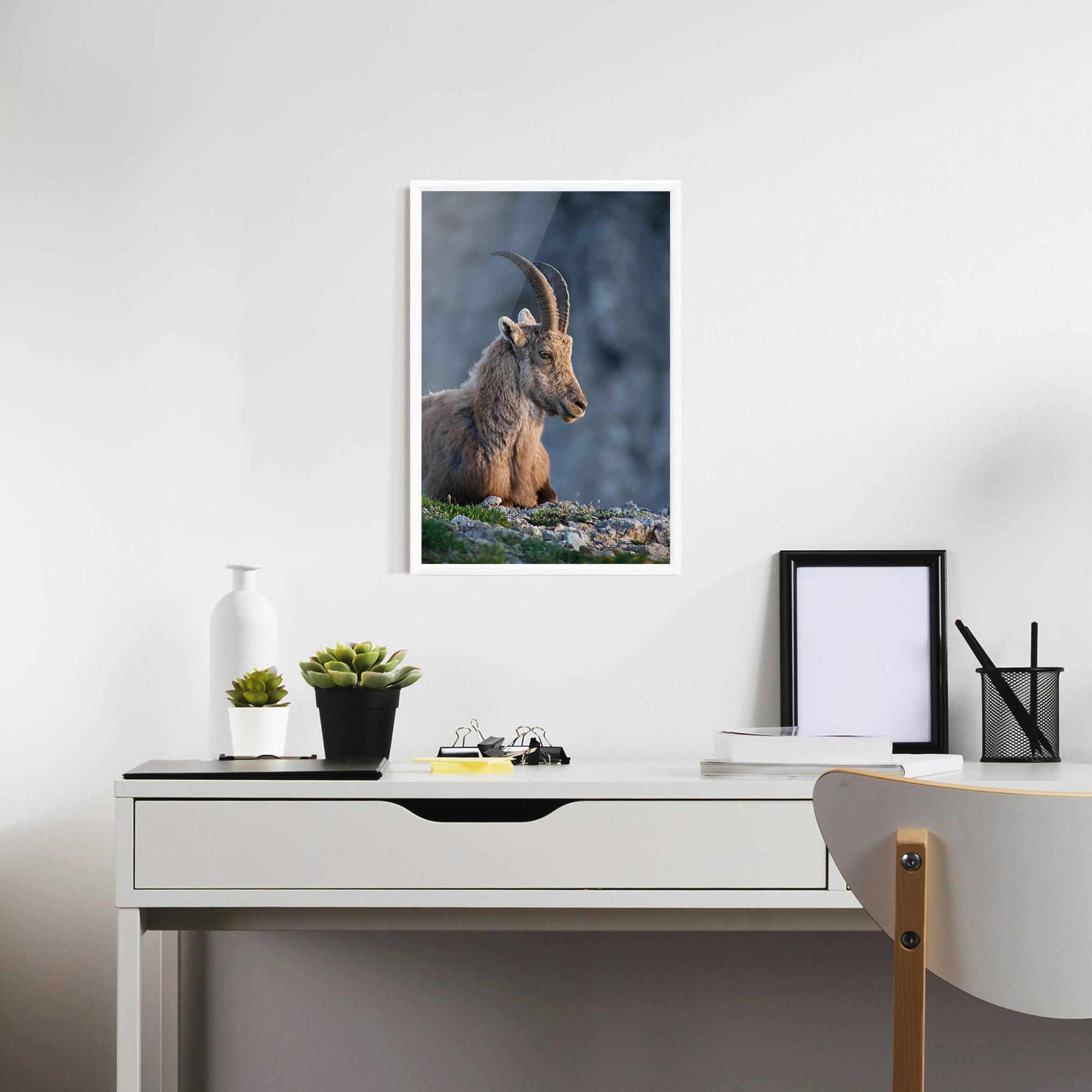 Gerahmte Poster Mountain Goat mockup 7
