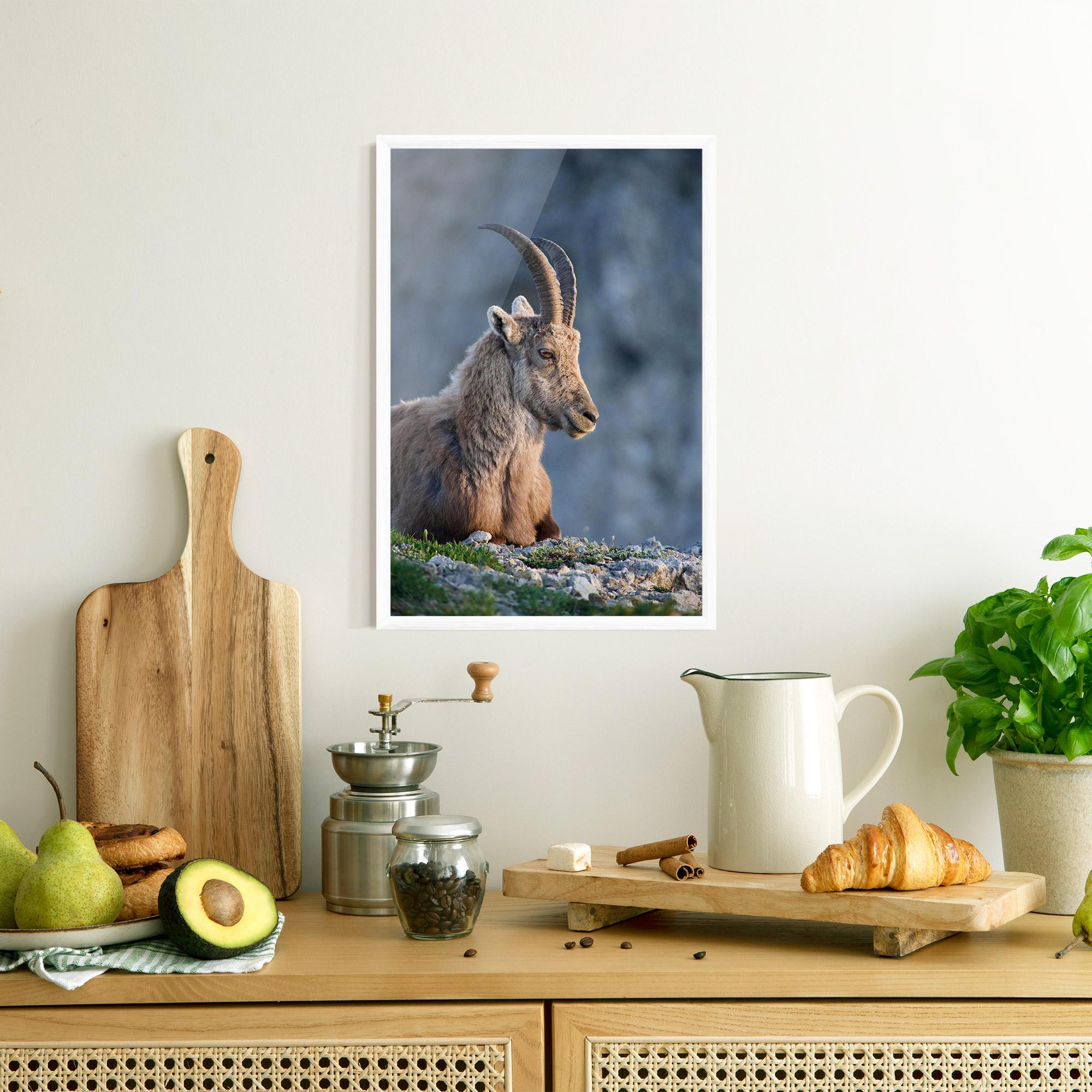 Gerahmte Poster Mountain Goat mockup 8