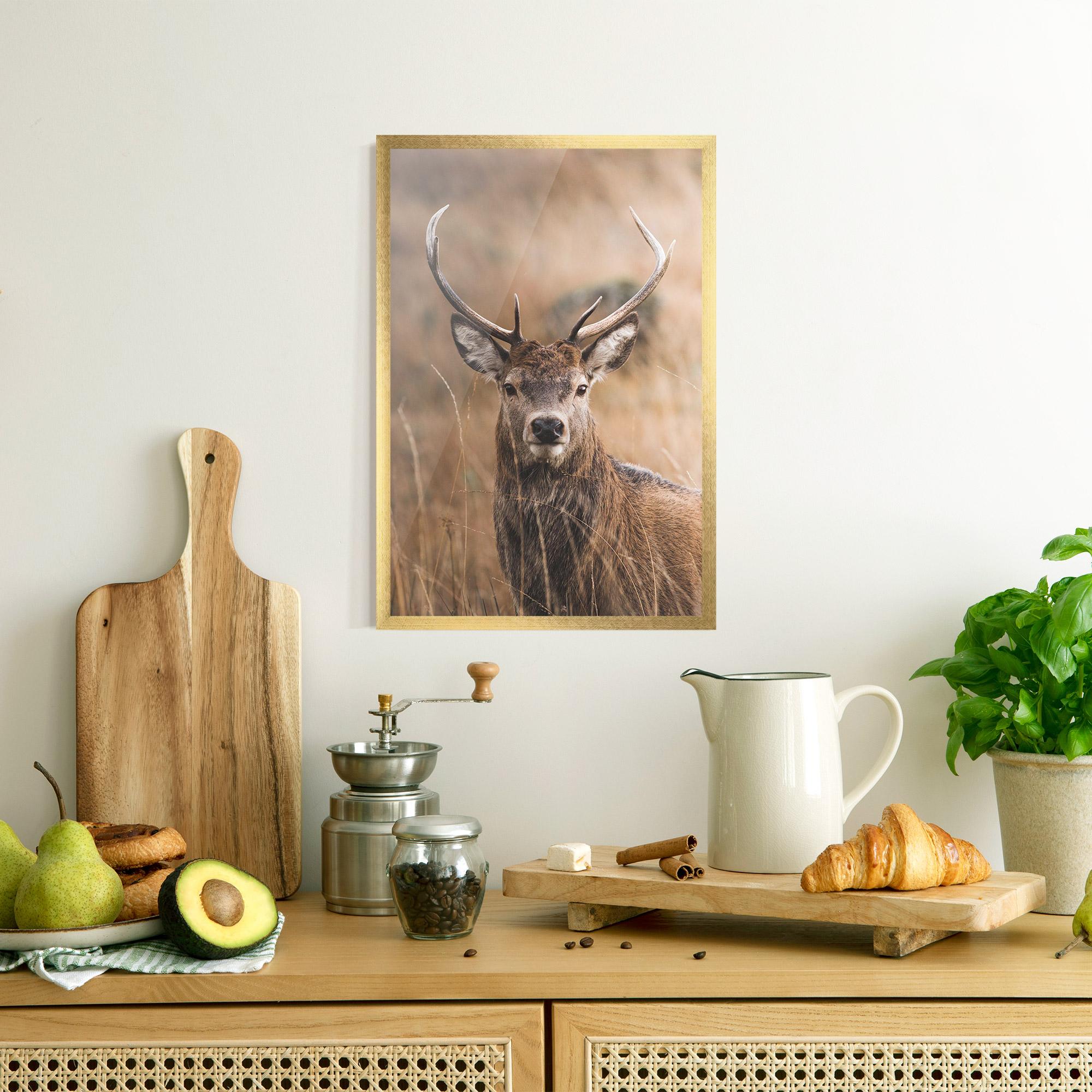 Gerahmte Poster Majestic Deer mockup 8