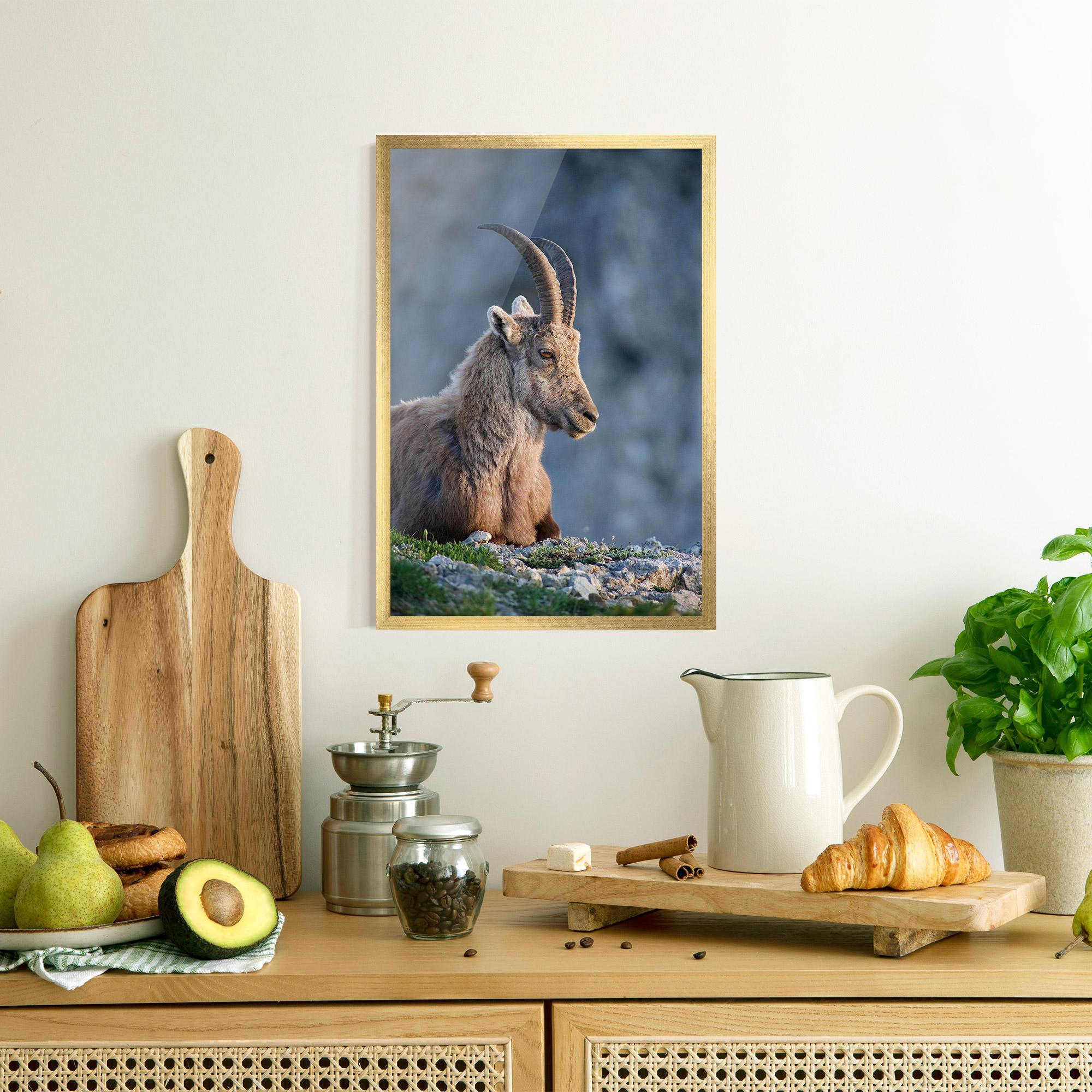 Gerahmte Poster Mountain Goat mockup 8
