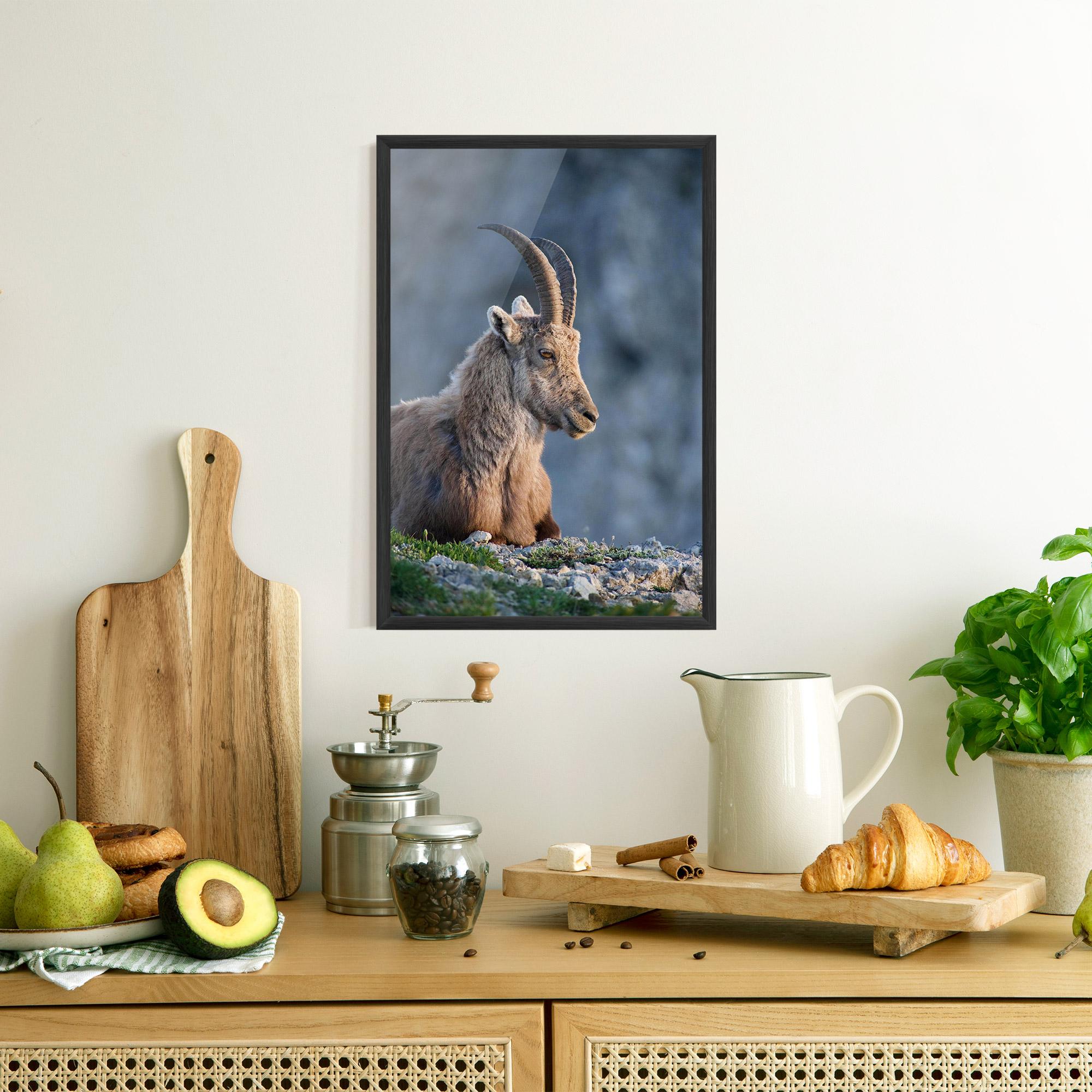 Gerahmte Poster Mountain Goat mockup 8