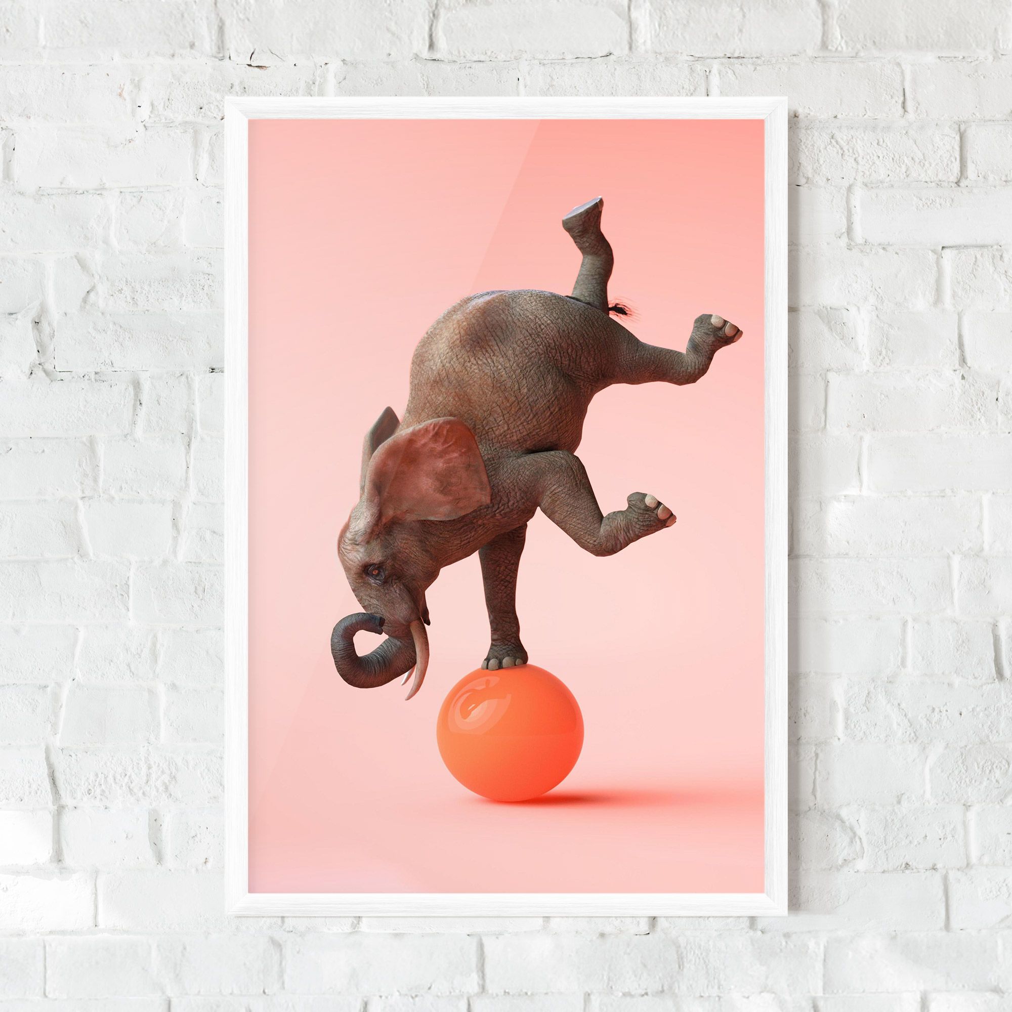 Ball Elephant mockup 0