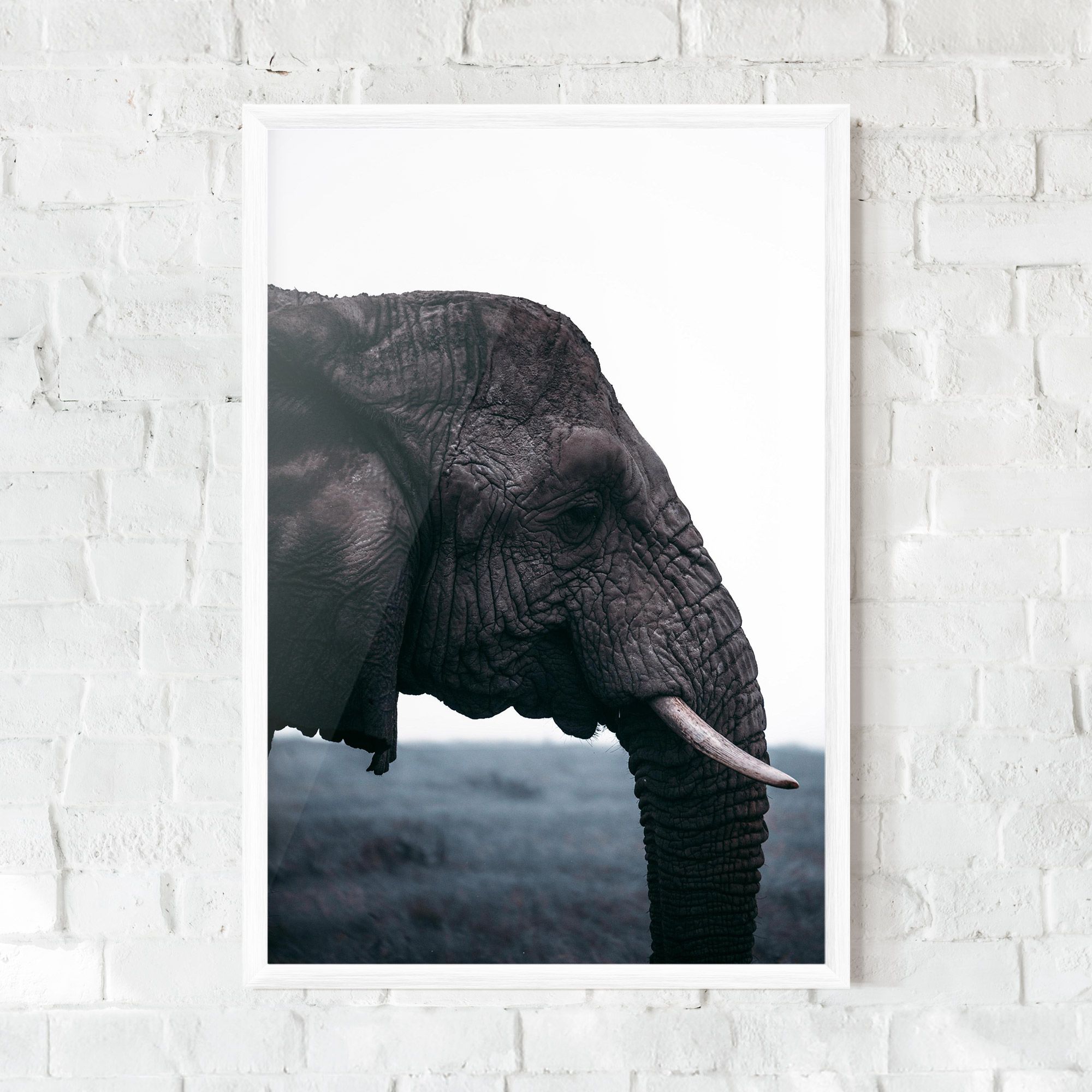 Close Grey Eelephant mockup 0