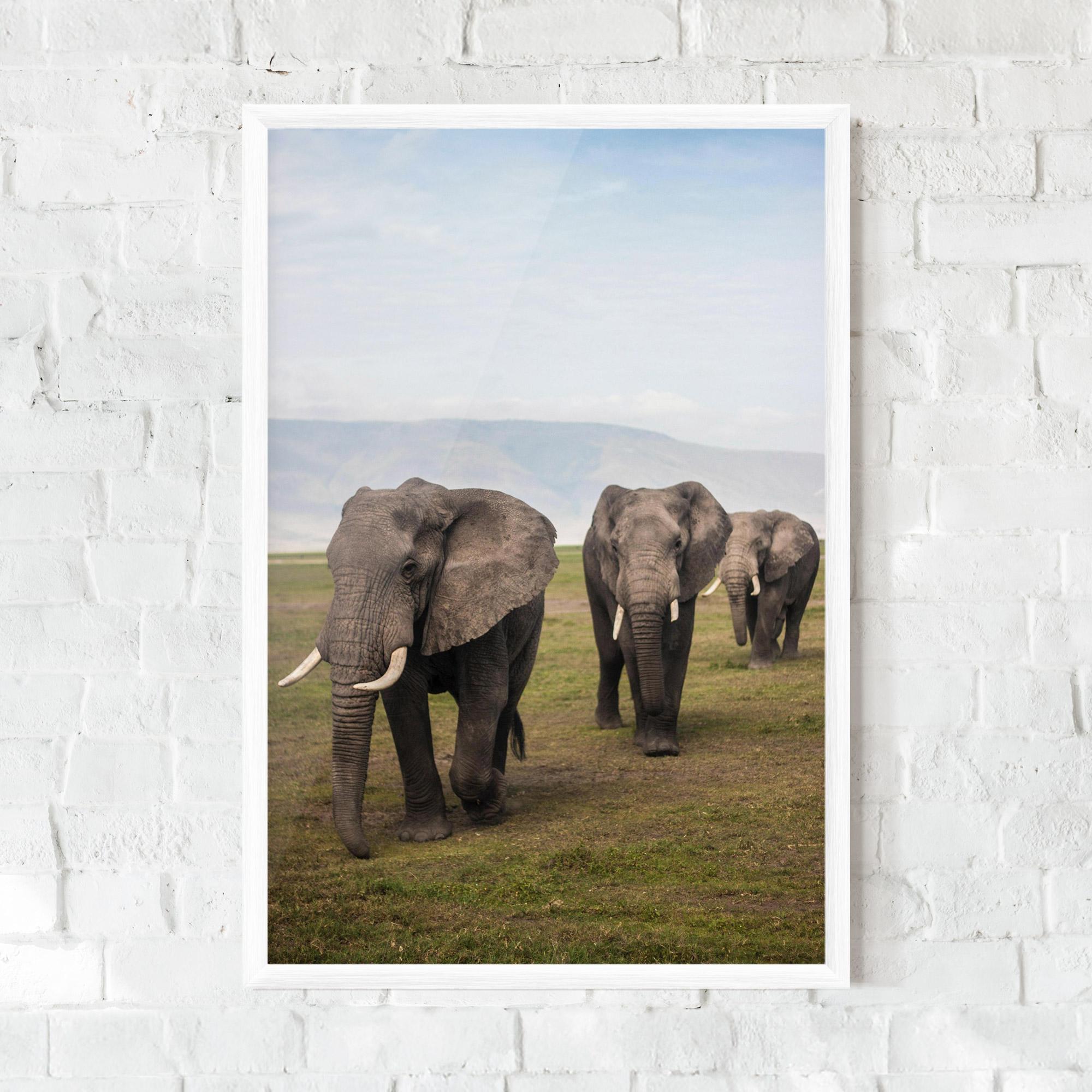 Gerahmte Poster Elephant Landscape mockup 0