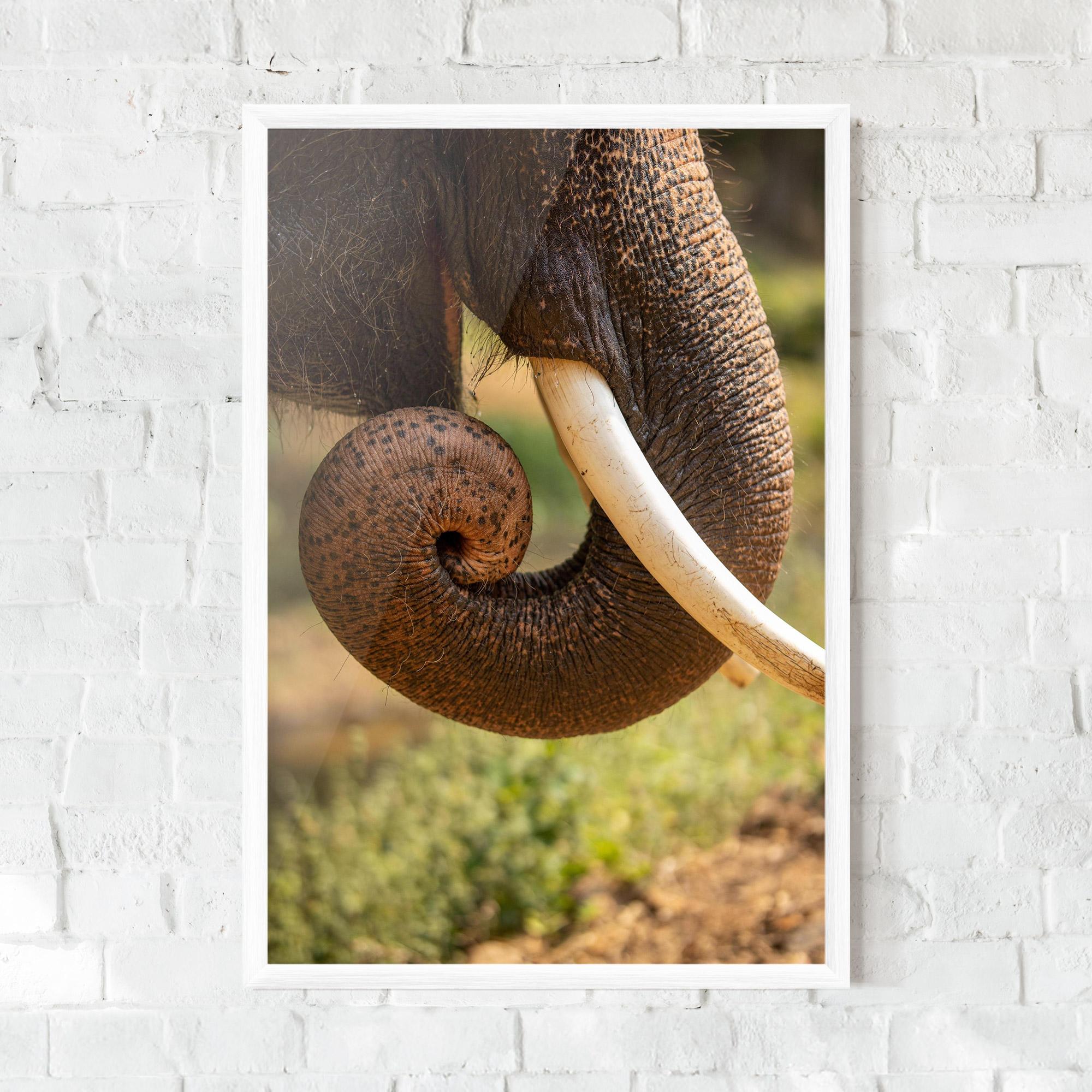 Gerahmte Poster Elephant Mouth Close Up mockup 0