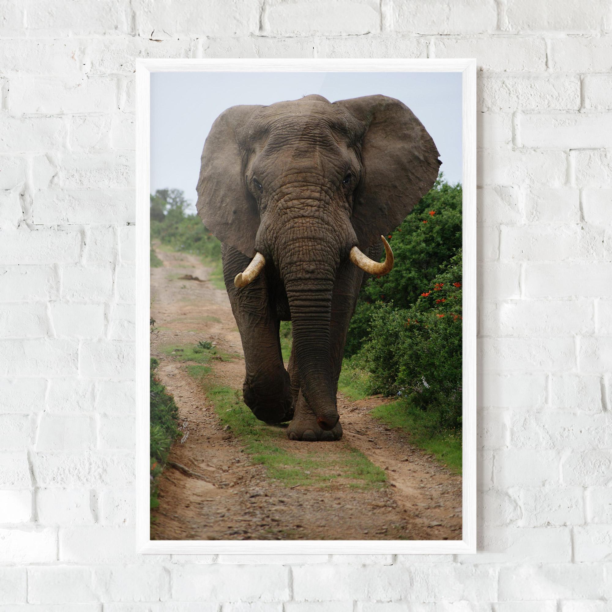 Gerahmte Poster Elephant Safari mockup 0