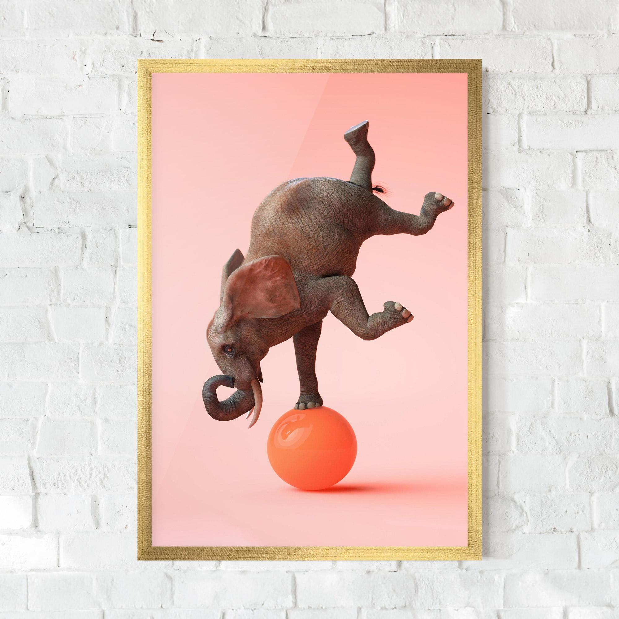 Gerahmte Poster Ball Elephant mockup 0
