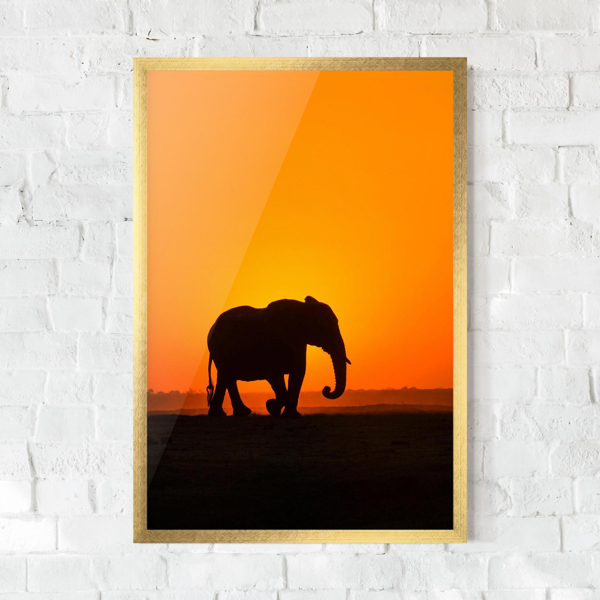 Gerahmte Poster Beautiful Elephant mockup 0