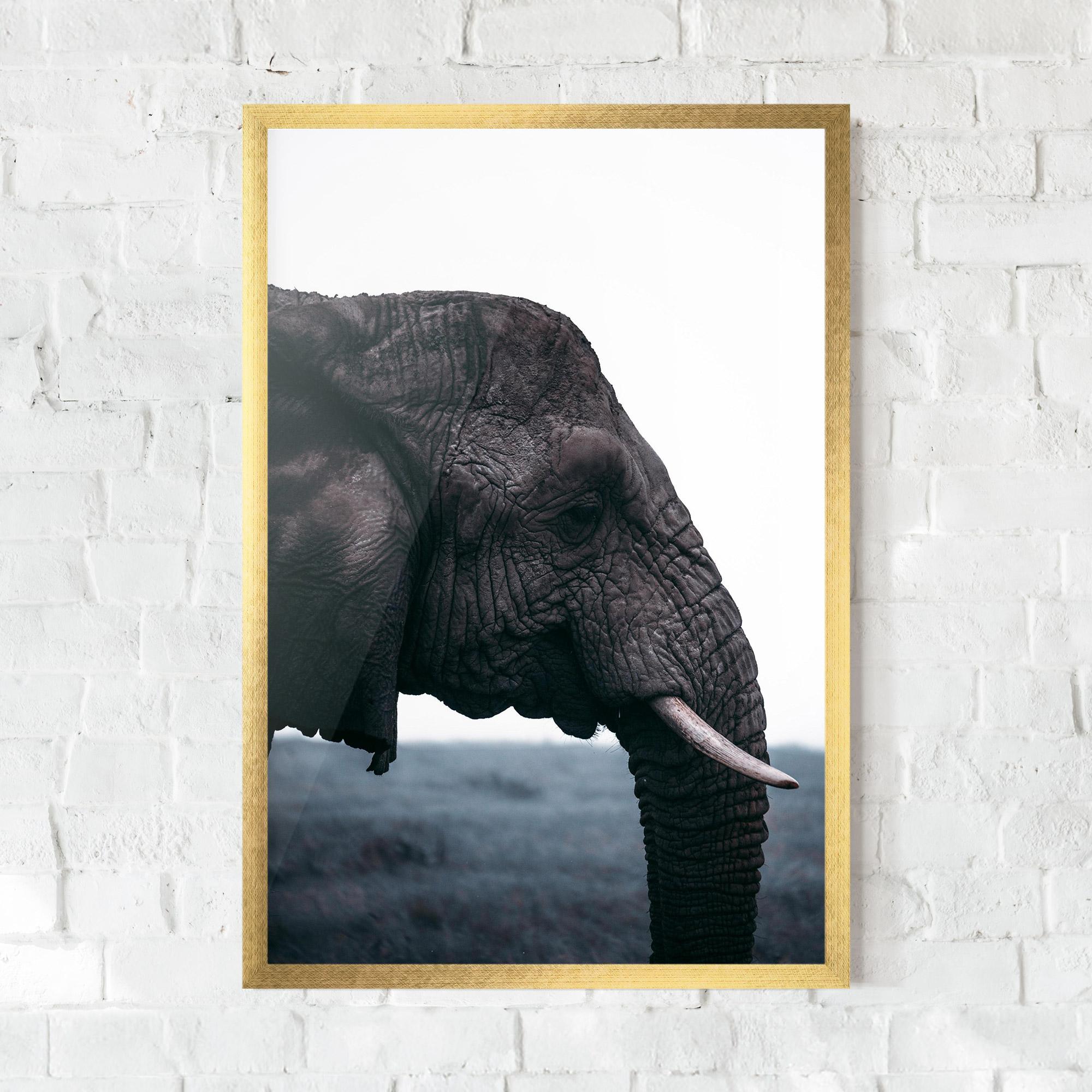 Gerahmte Poster Close Grey Eelephant mockup 0