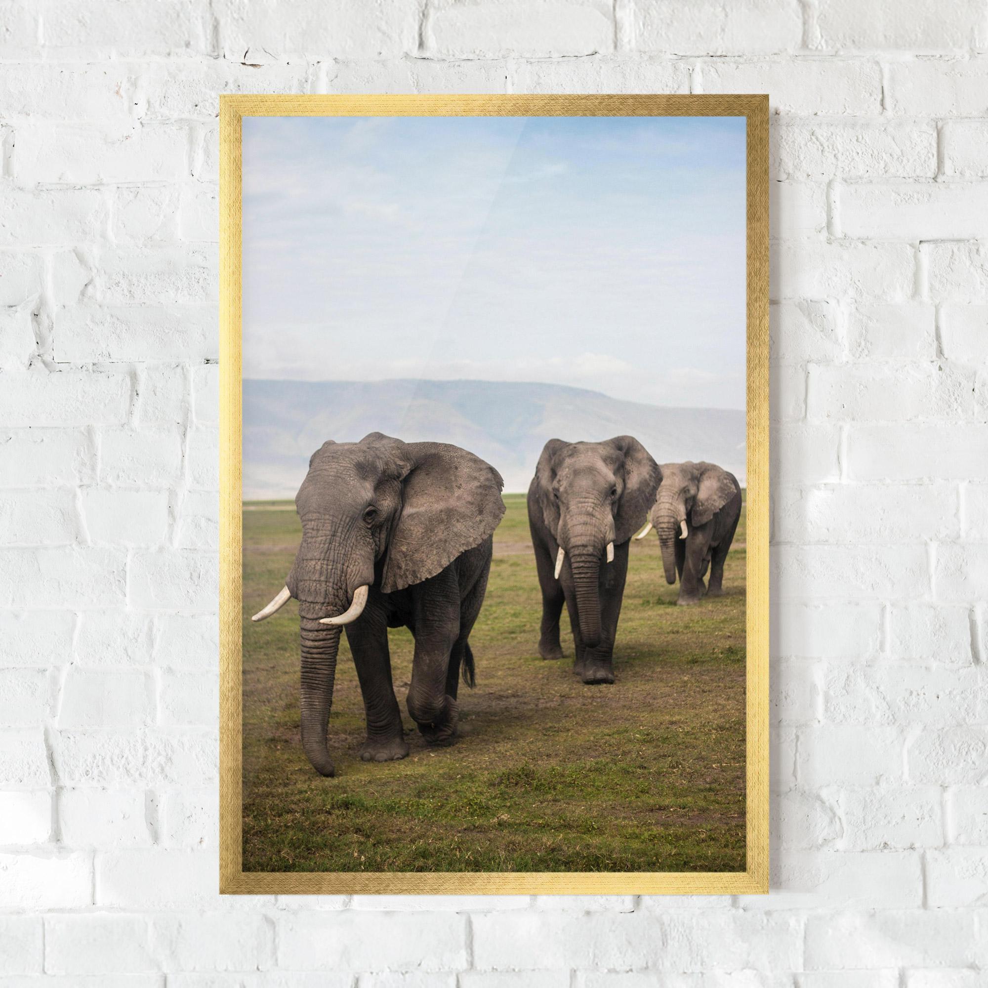 Gerahmte Poster Elephant Landscape mockup 0
