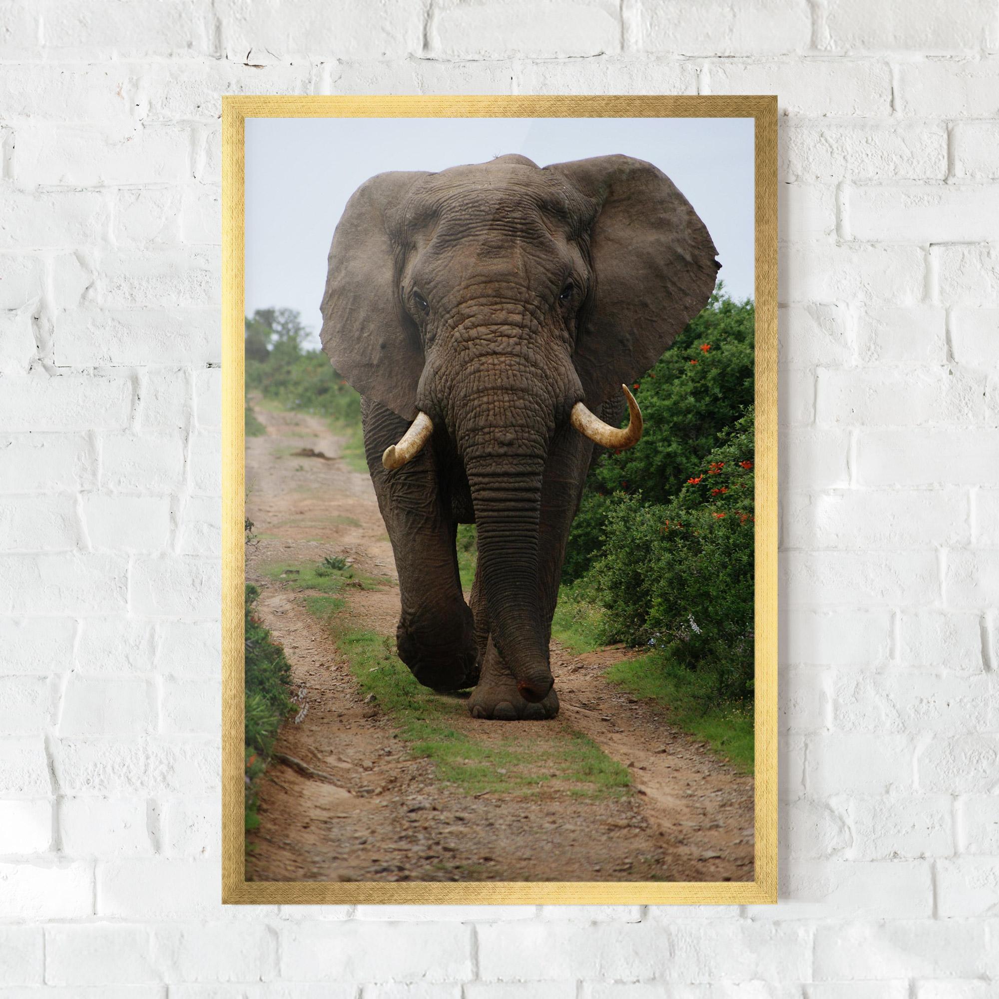 Gerahmte Poster Elephant Safari mockup 0