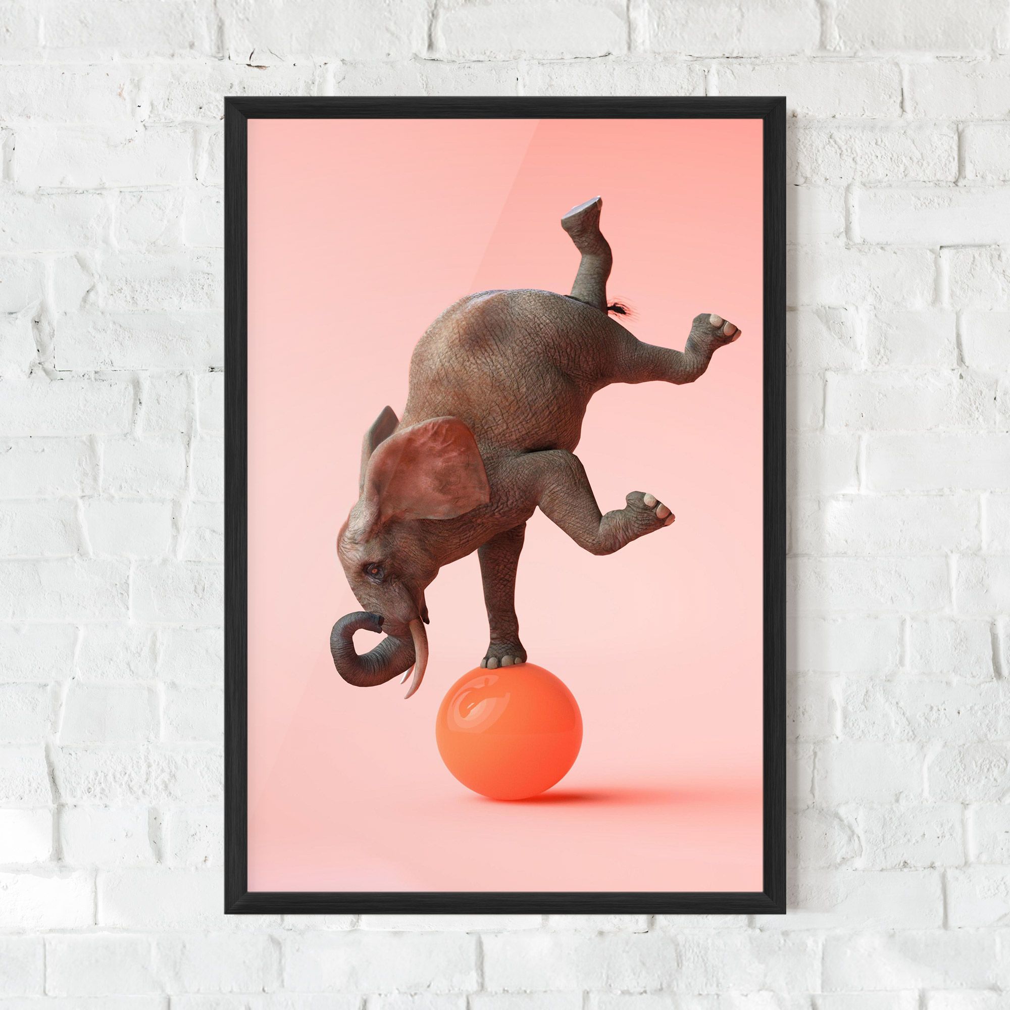 Ball Elephant mockup 0