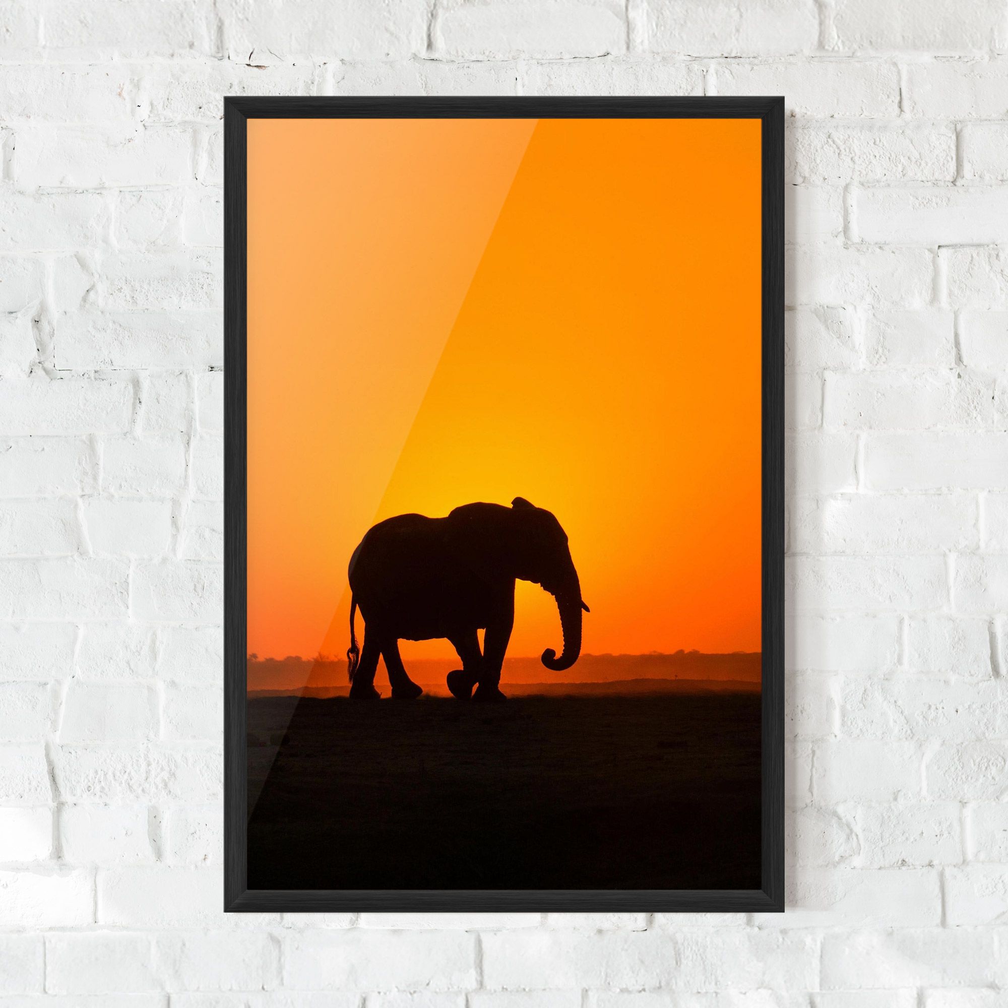 Beautiful Elephant mockup 0